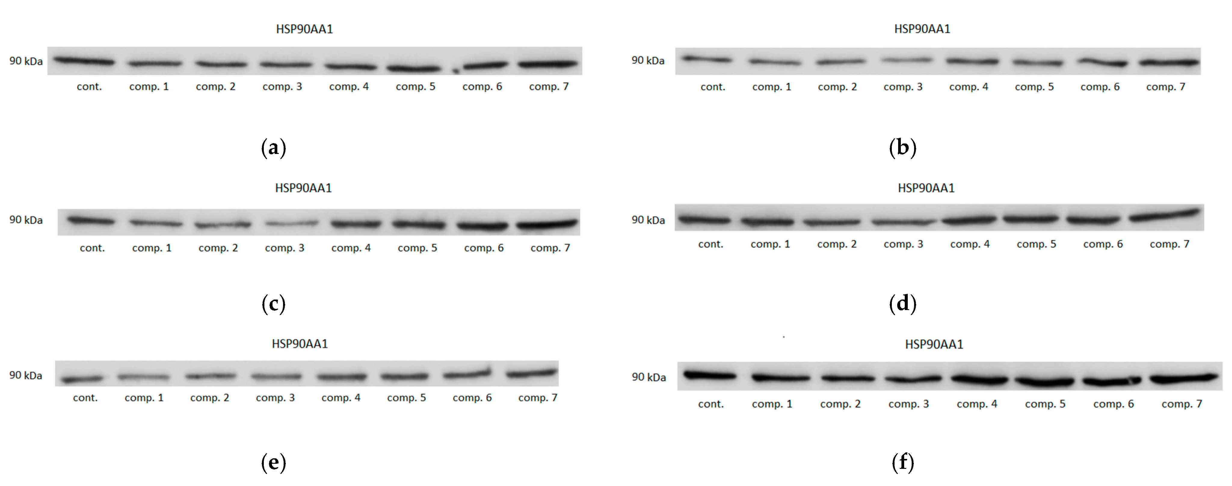 Biomolecules 11 01588 g008