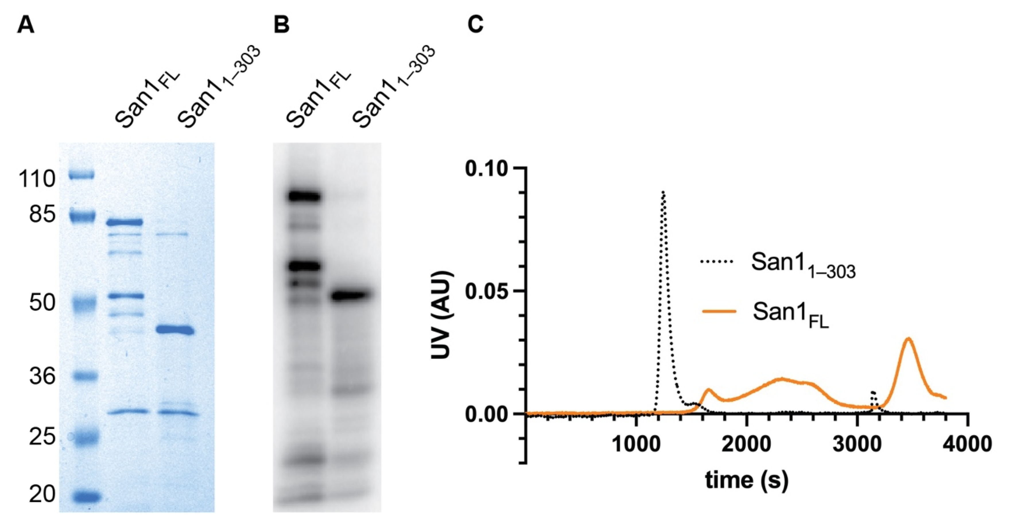 Biomolecules 11 01619 g001