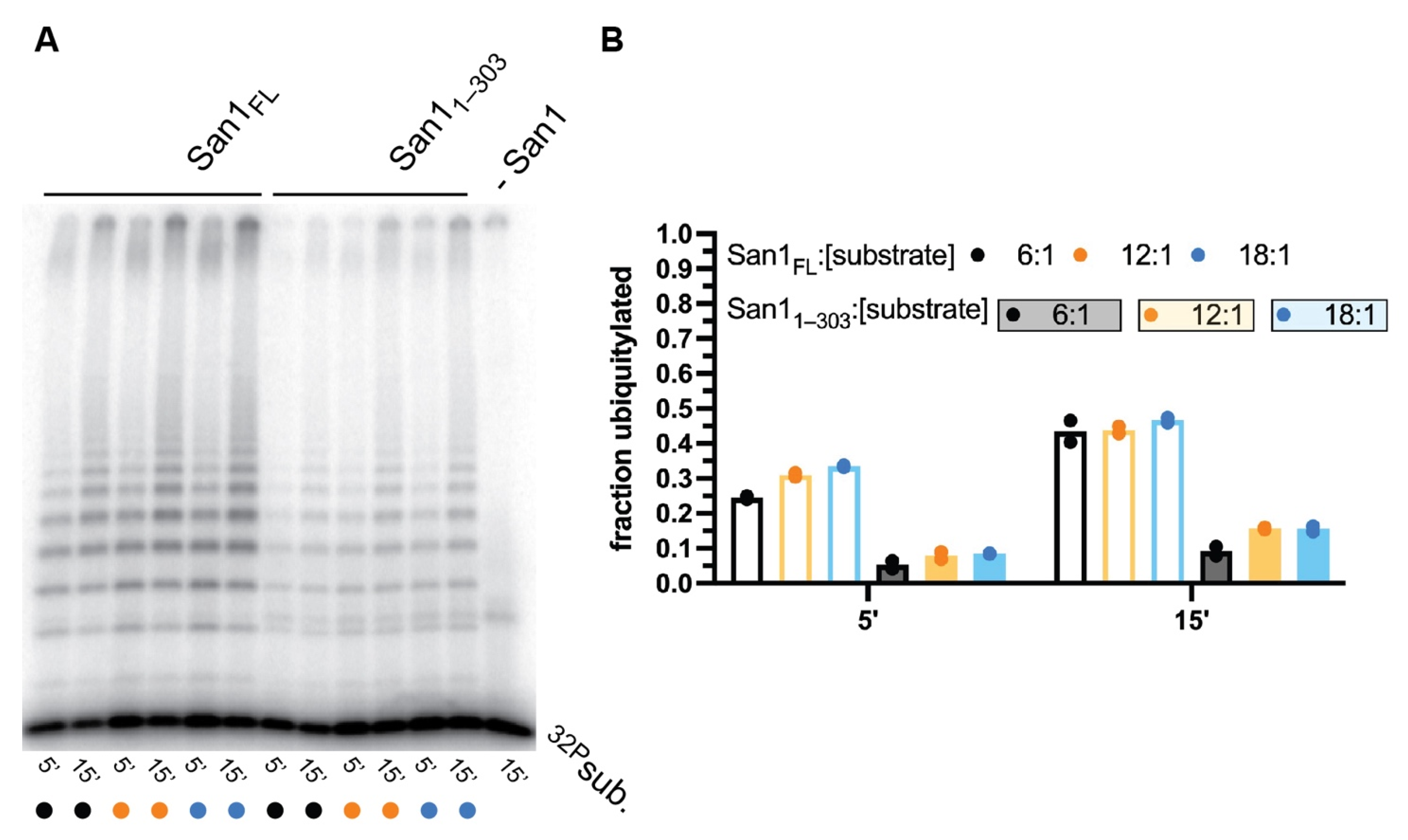 Biomolecules 11 01619 g003