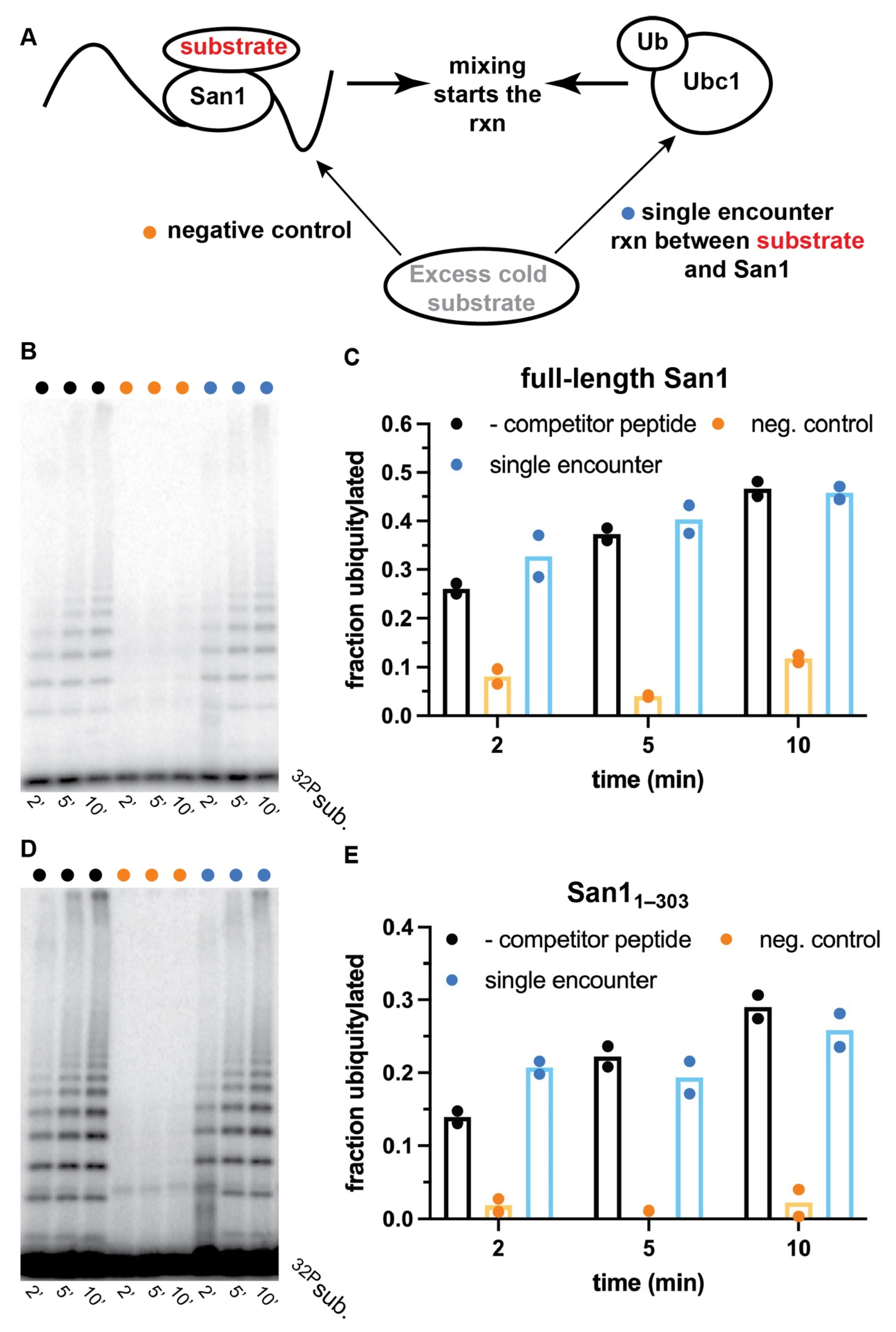 Biomolecules 11 01619 g004