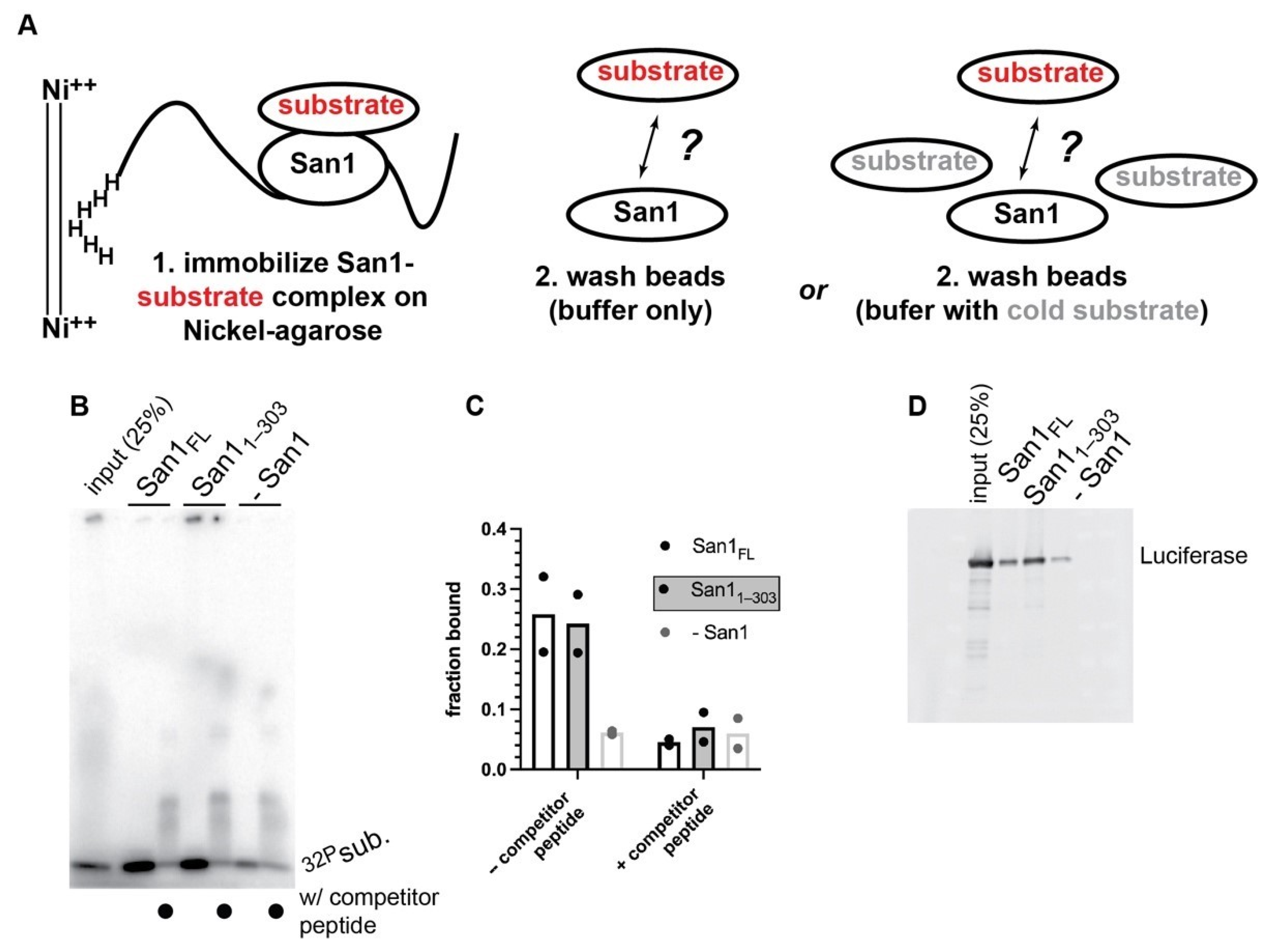 Biomolecules 11 01619 g005