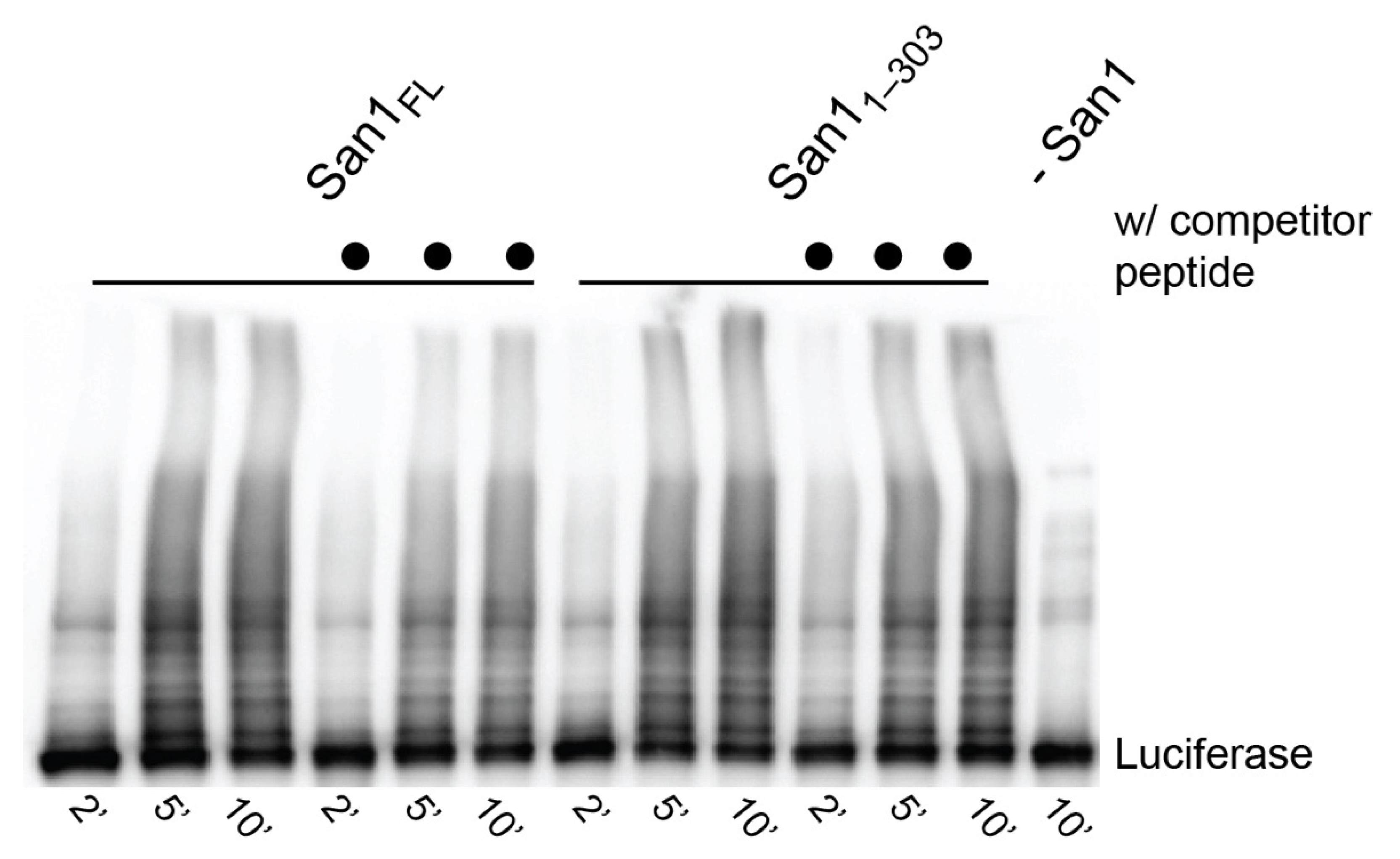 Biomolecules 11 01619 g006