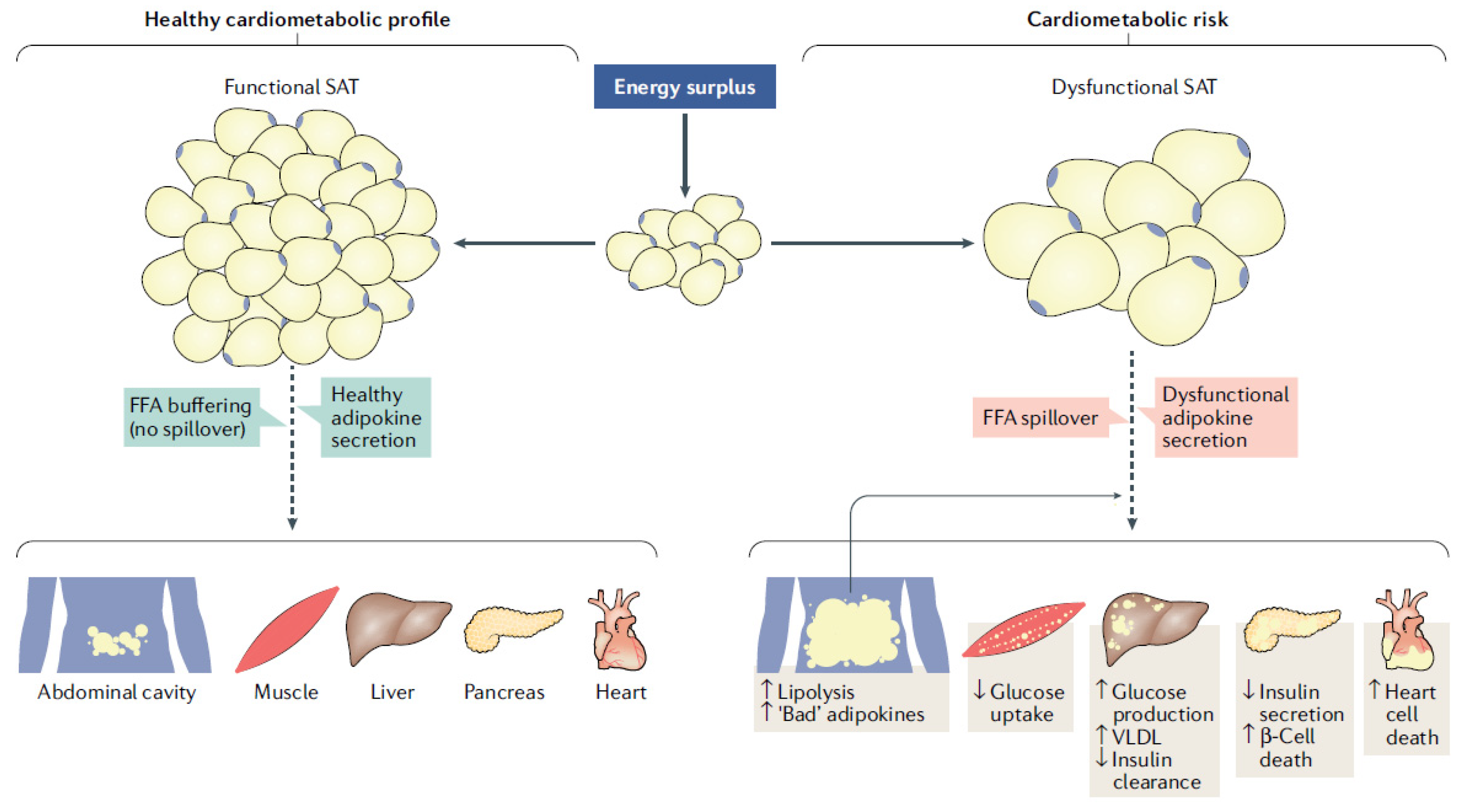 Biomolecules 11 01625 g001