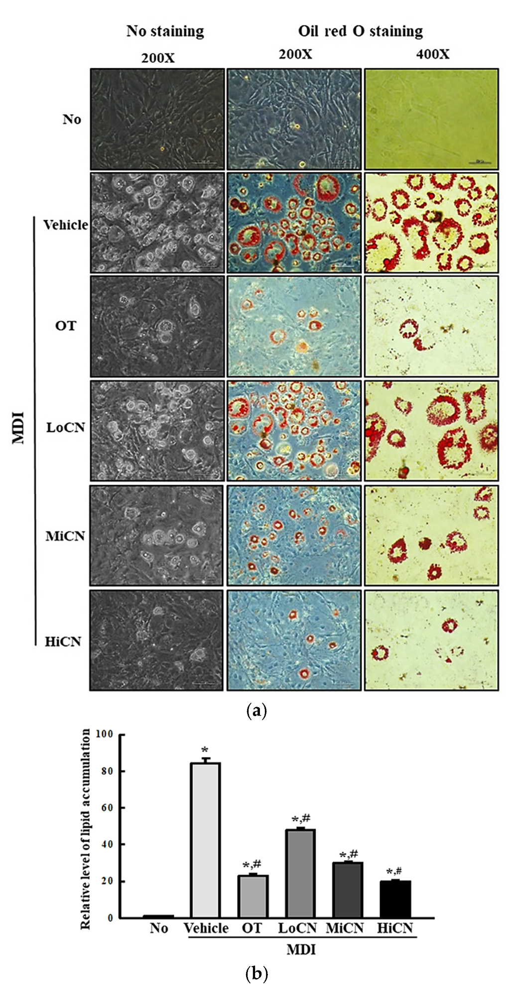 Biomolecules 11 01650 g002 Biomolecules 11 01650 g002