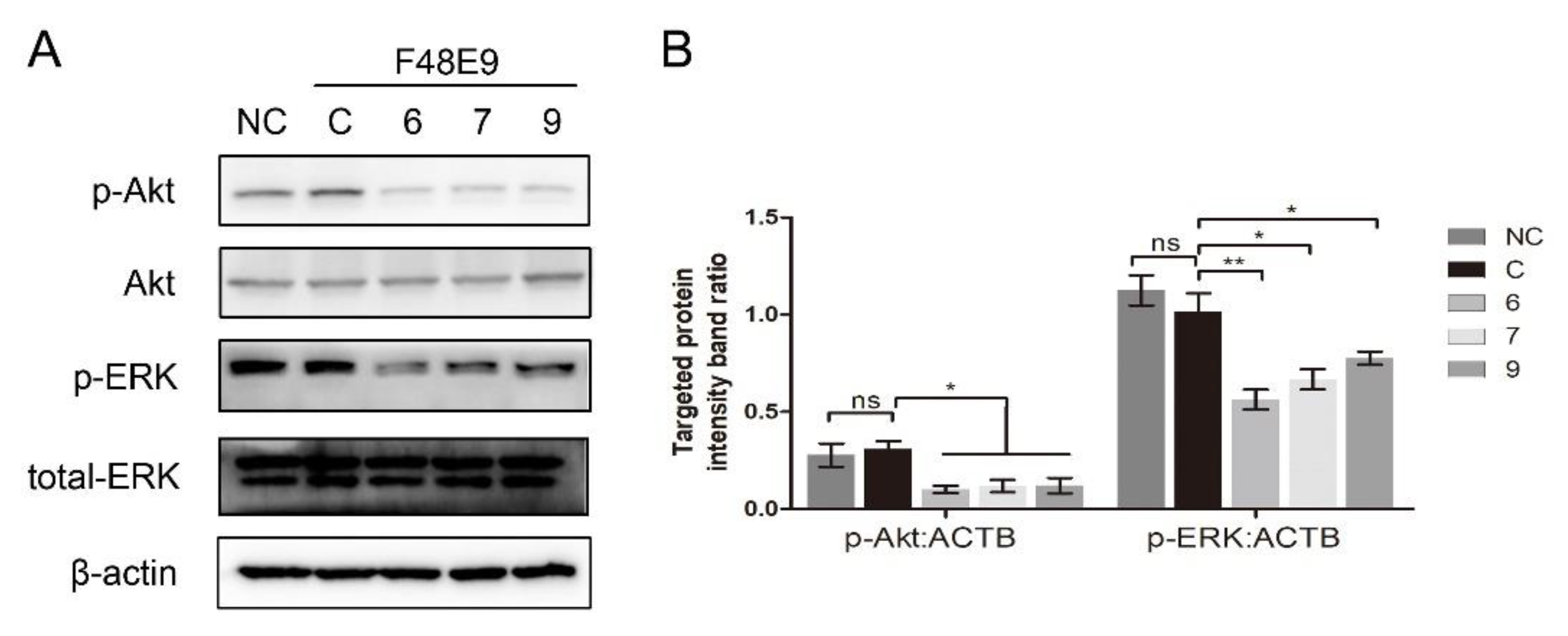 Biomolecules 11 01687 g007