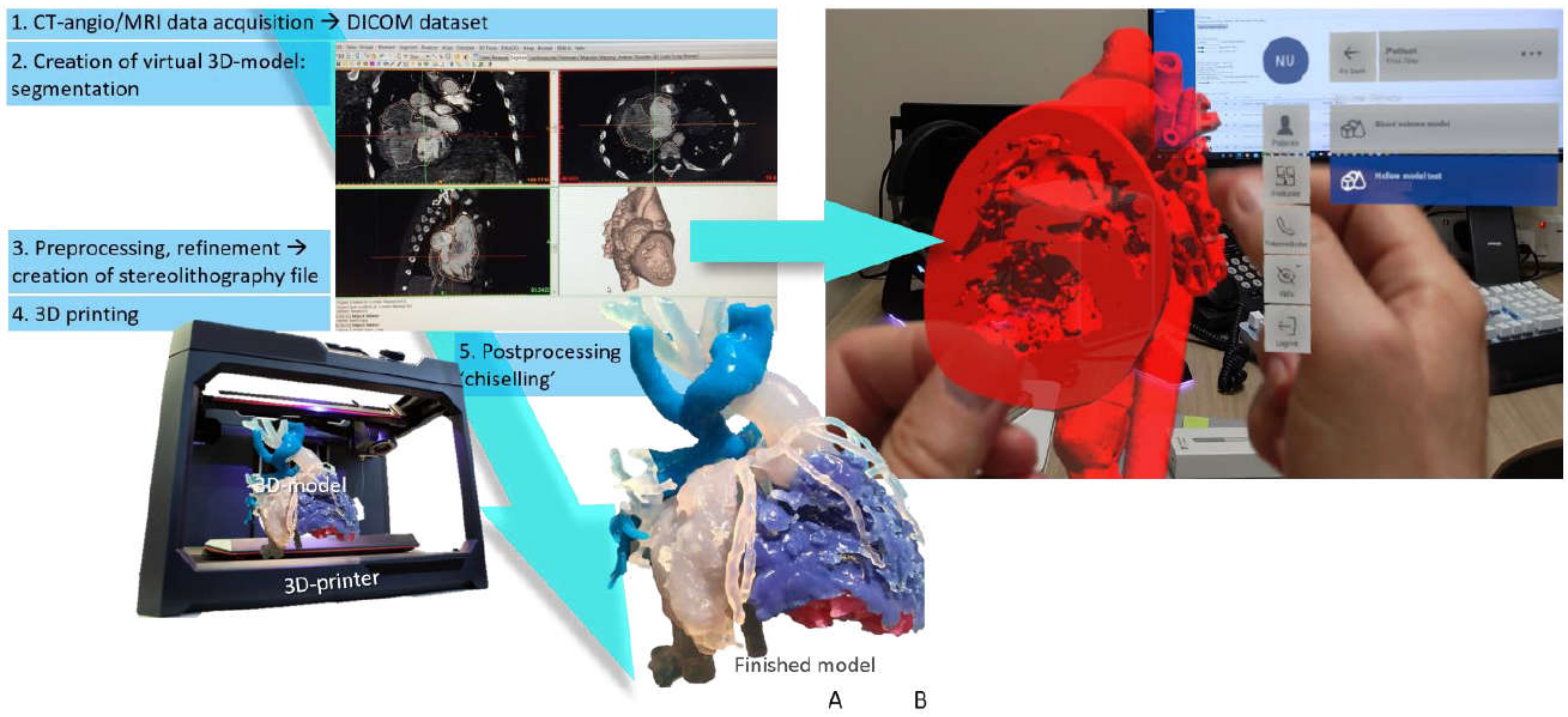 Biomolecules 11 01703 g001 Biomolecules 11 01703 g001