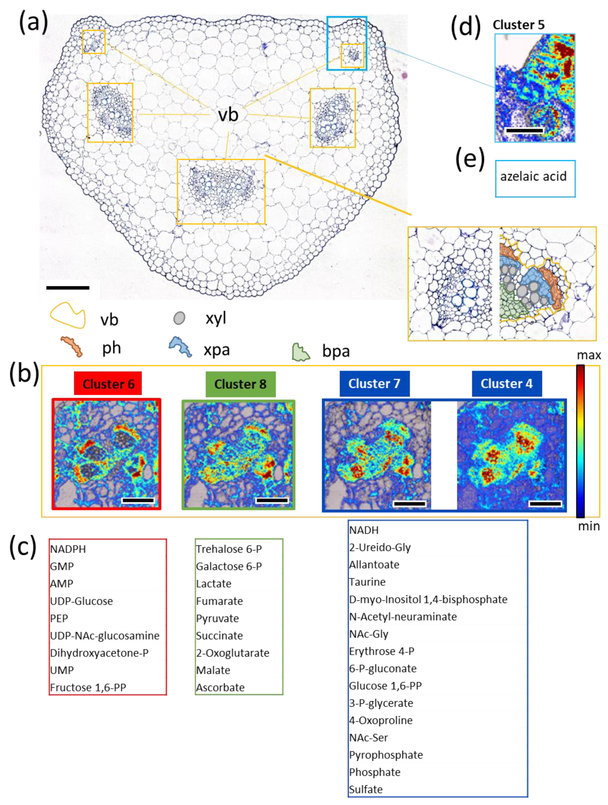 Biomolecules 11 01717 g004 Biomolecules 11 01717 g004