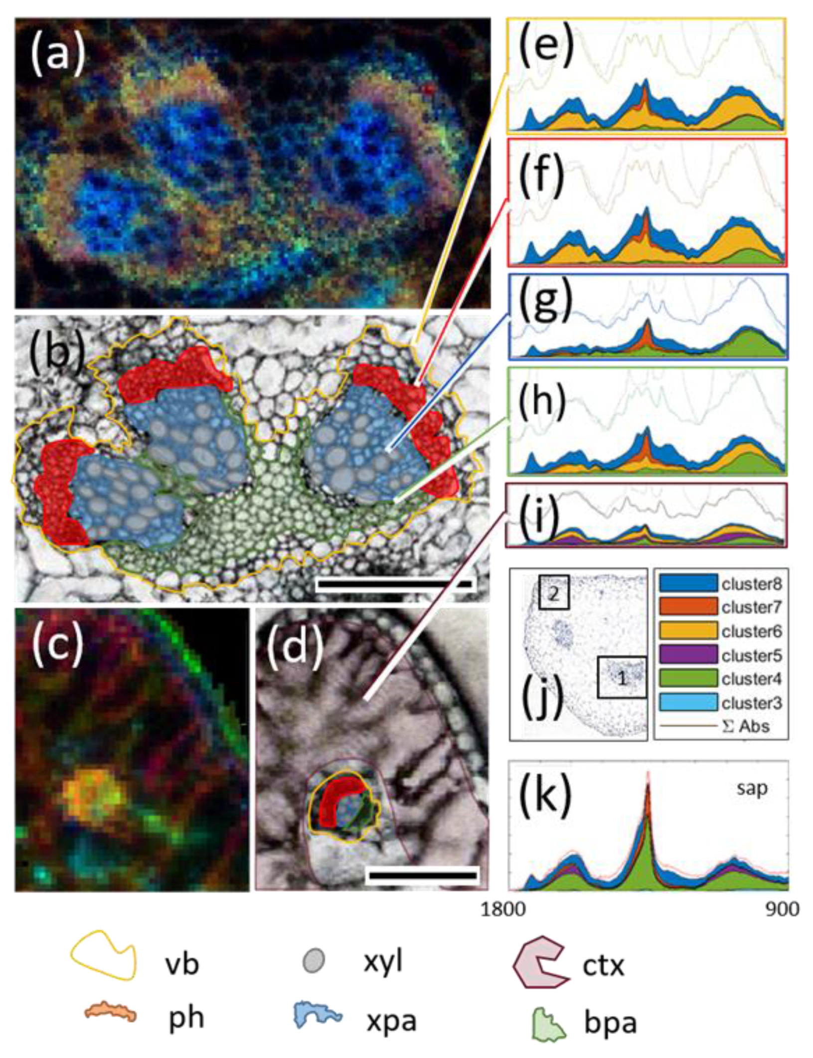 Biomolecules 11 01717 g005 Biomolecules 11 01717 g005