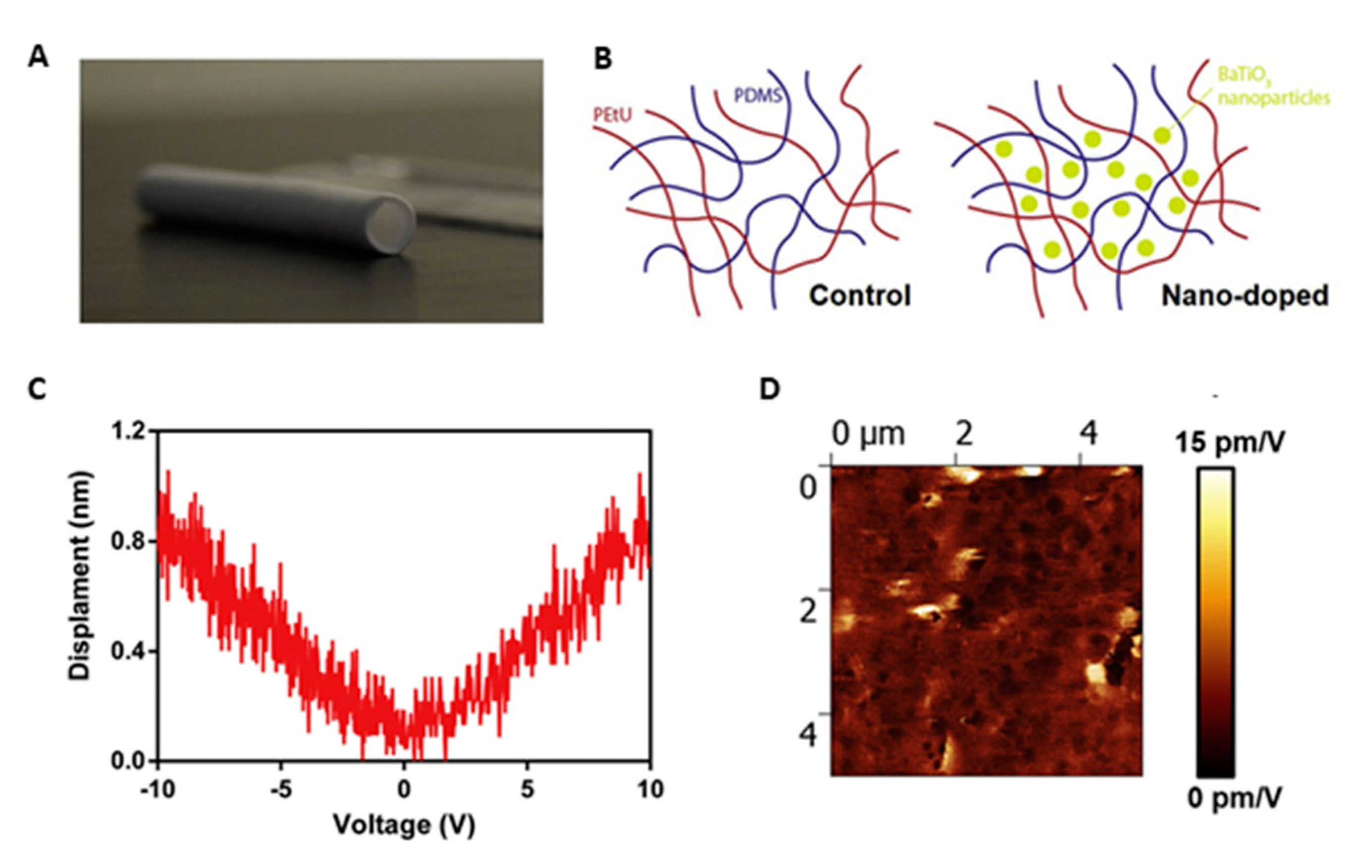 Biomolecules 11 01731 g010