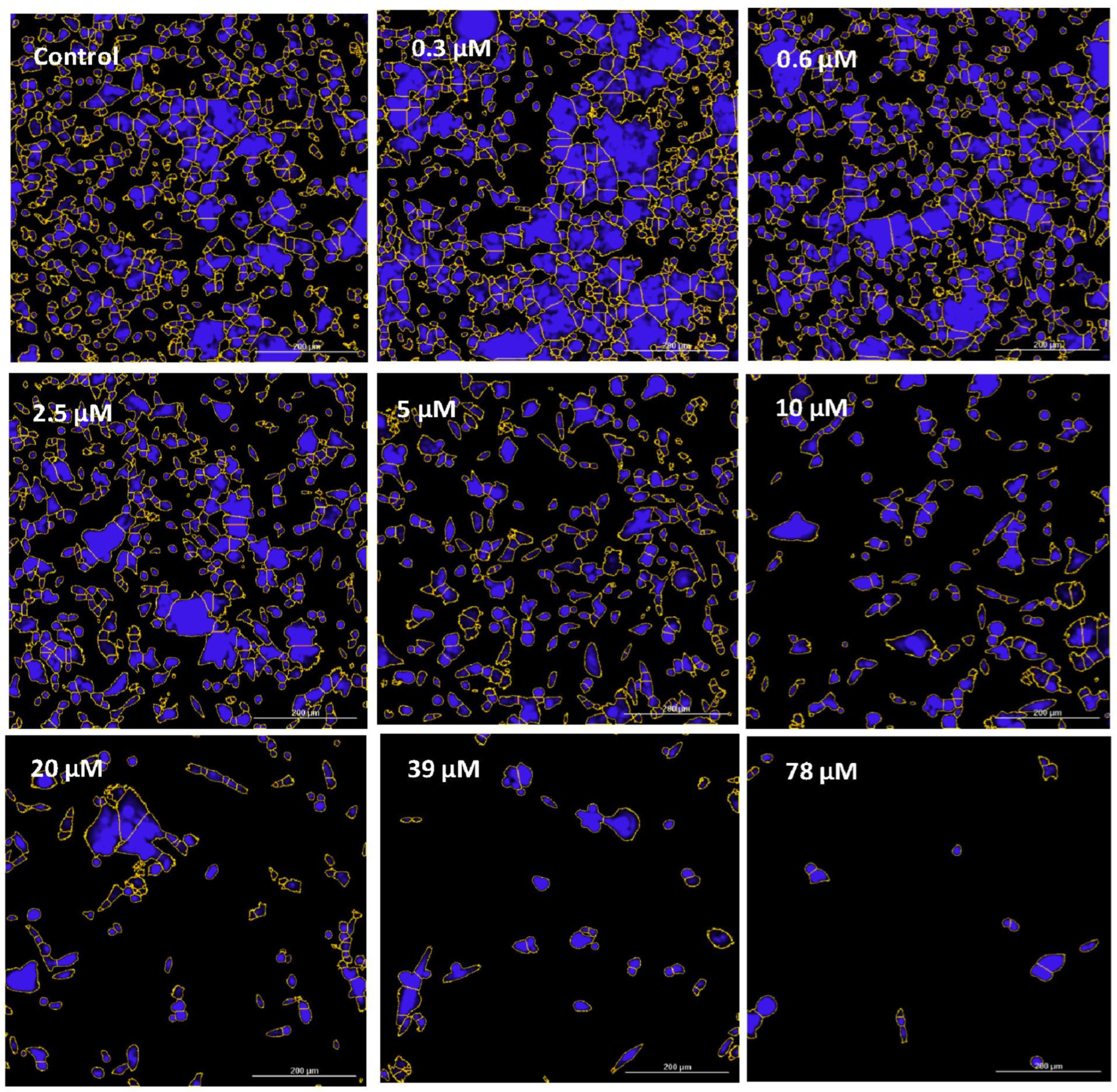 Biomolecules 11 01751 g003