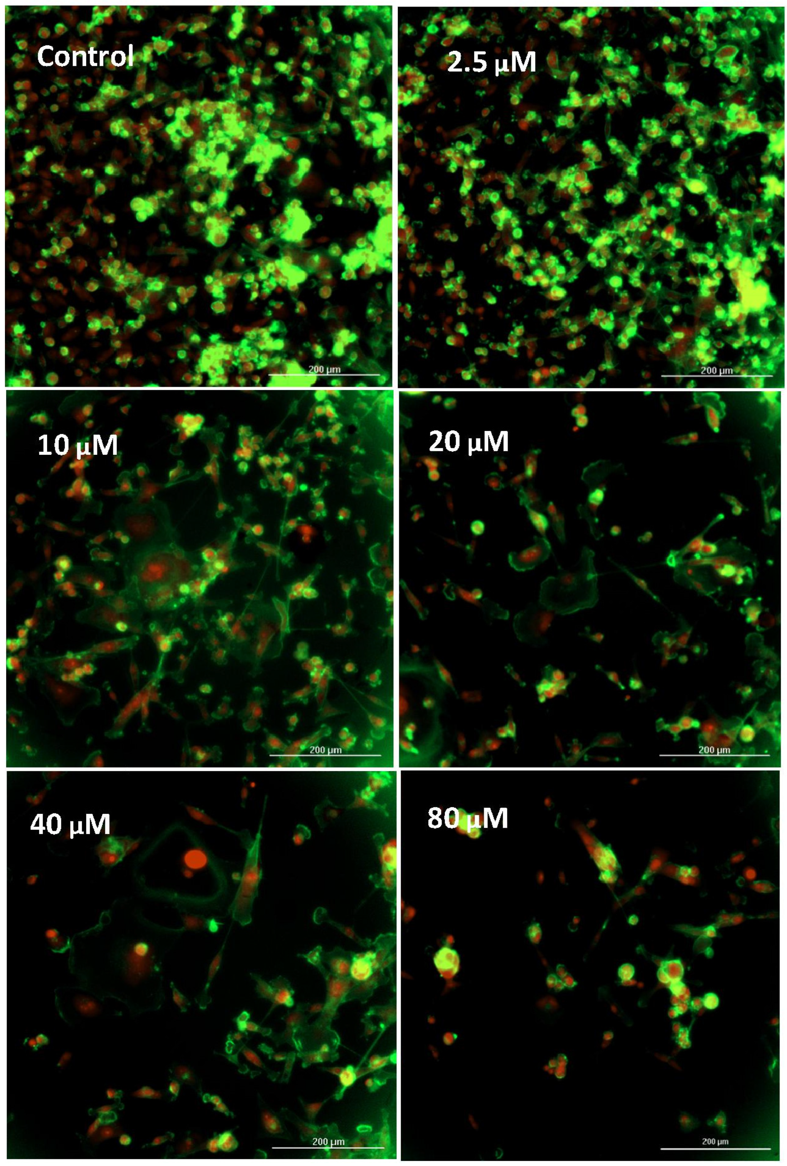 Biomolecules 11 01751 g004