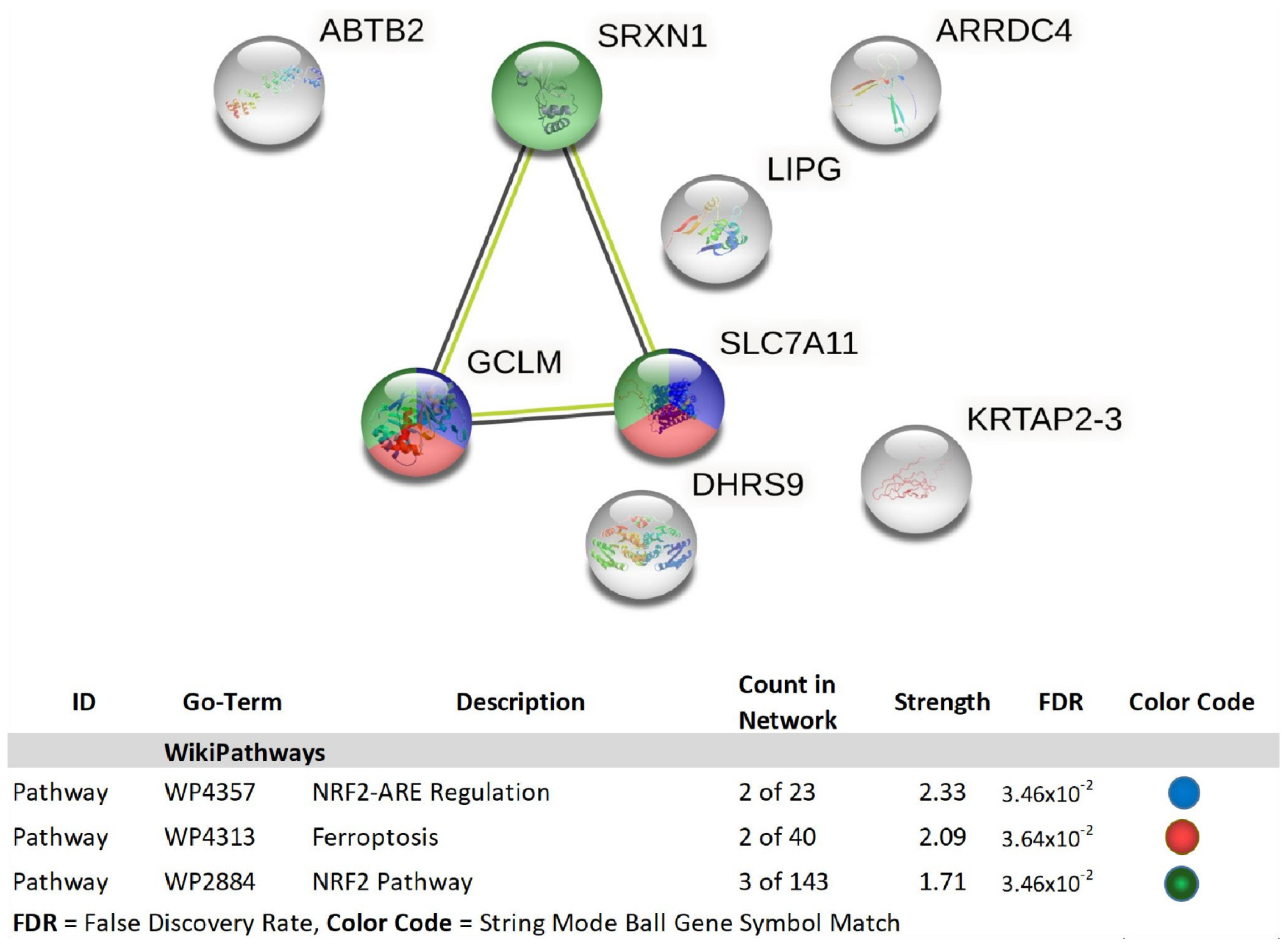 Biomolecules 11 01751 g009