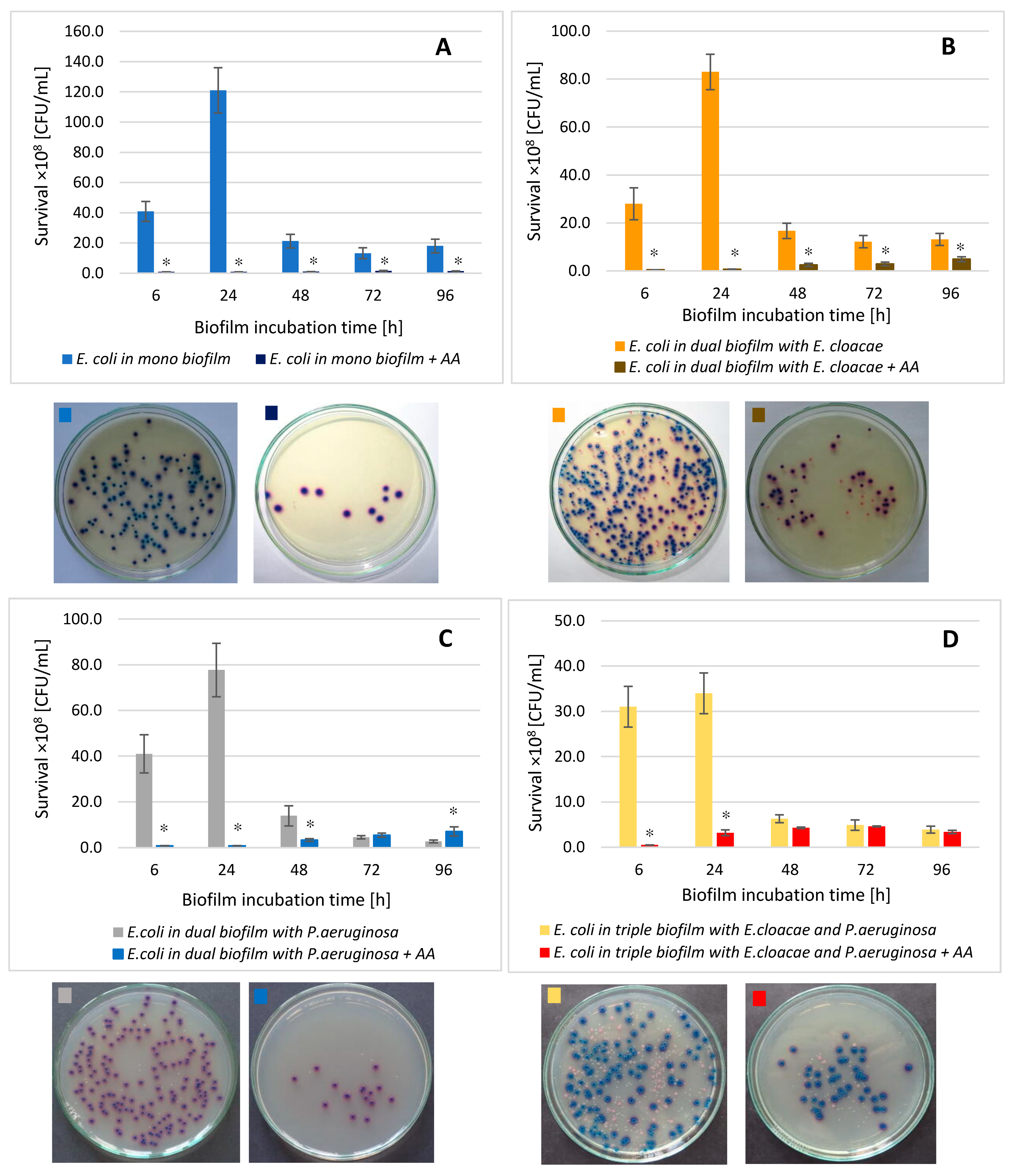 Biomolecules 11 01754 g007