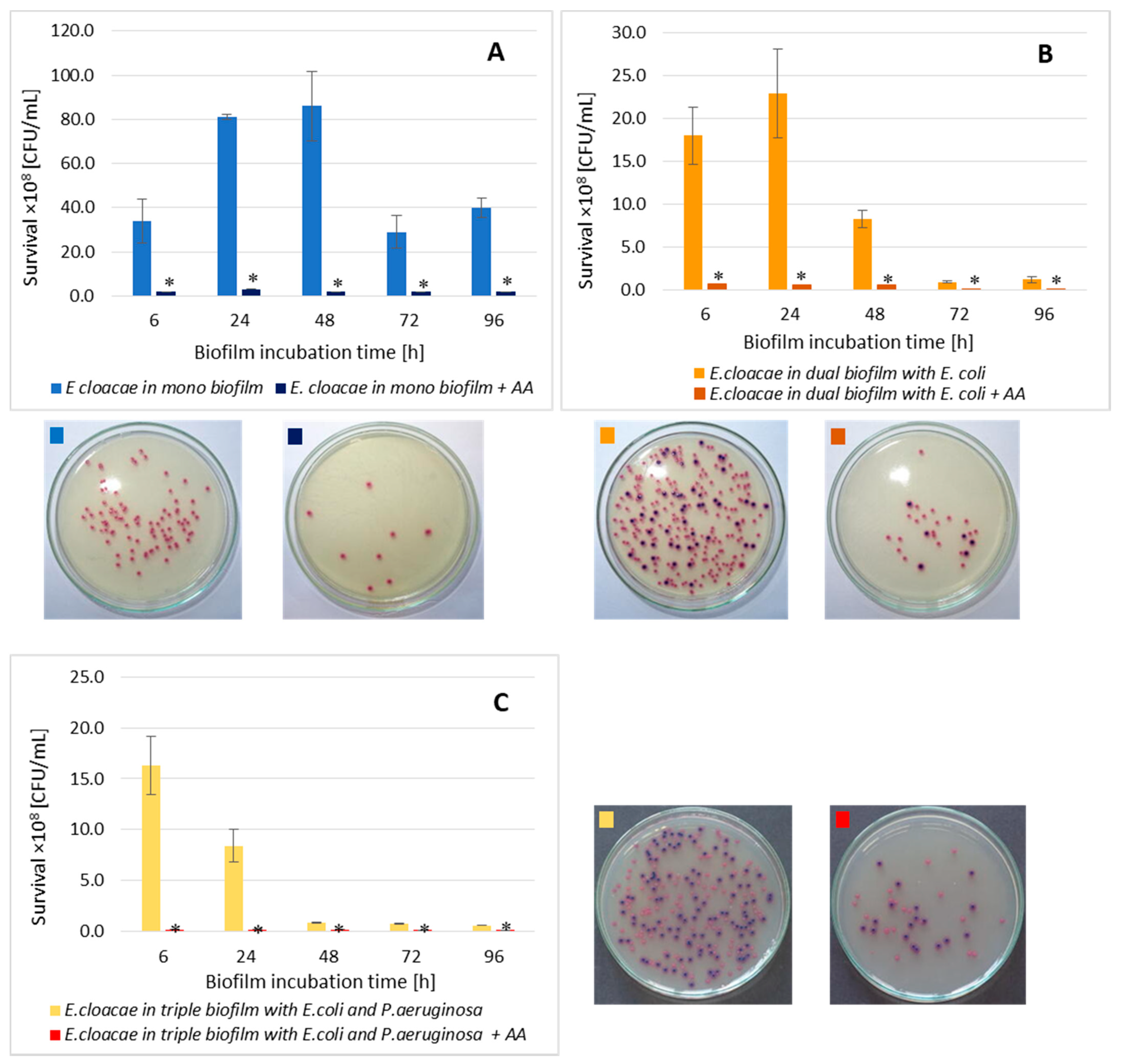 Biomolecules 11 01754 g009