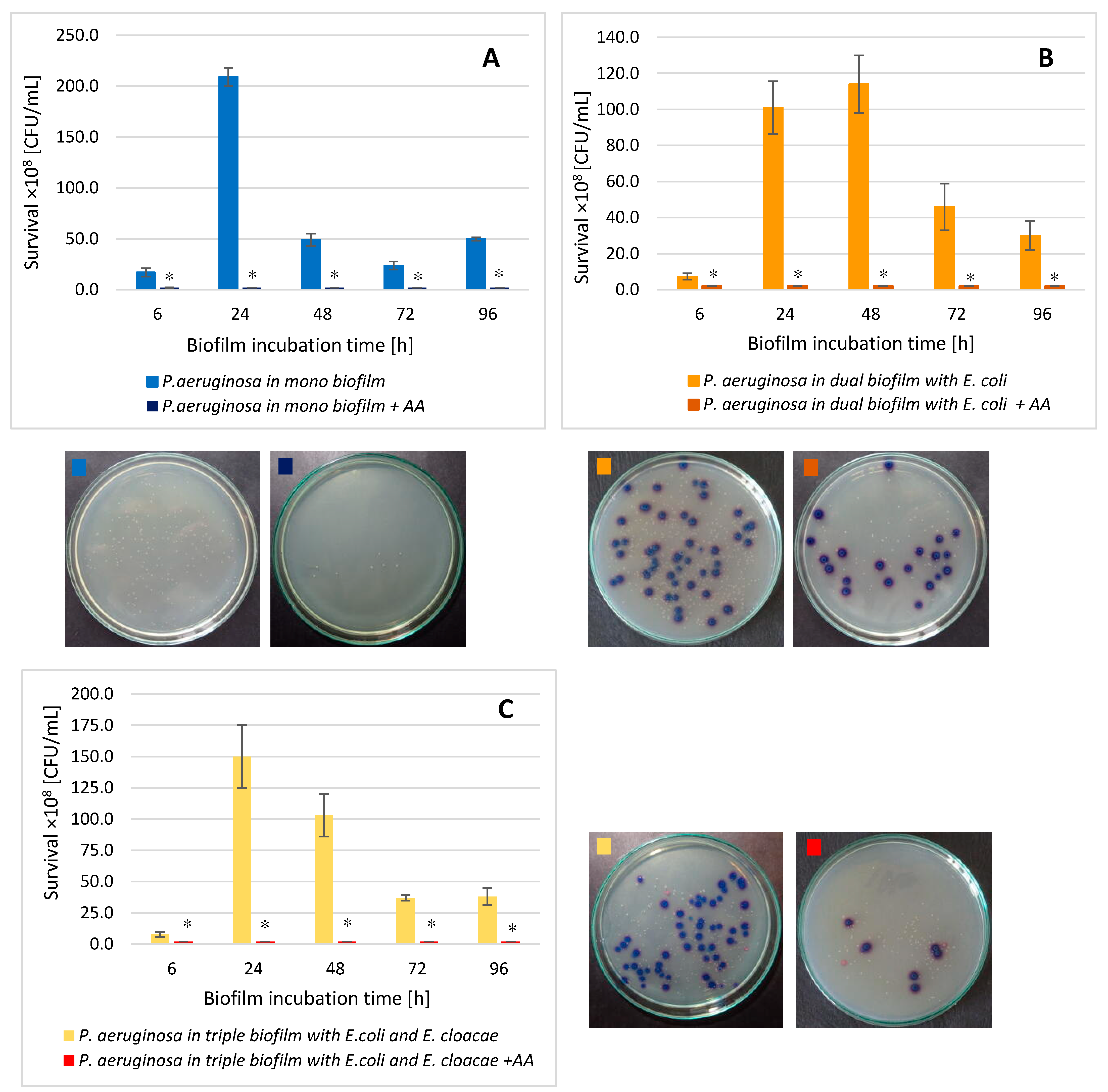 Biomolecules 11 01754 g011