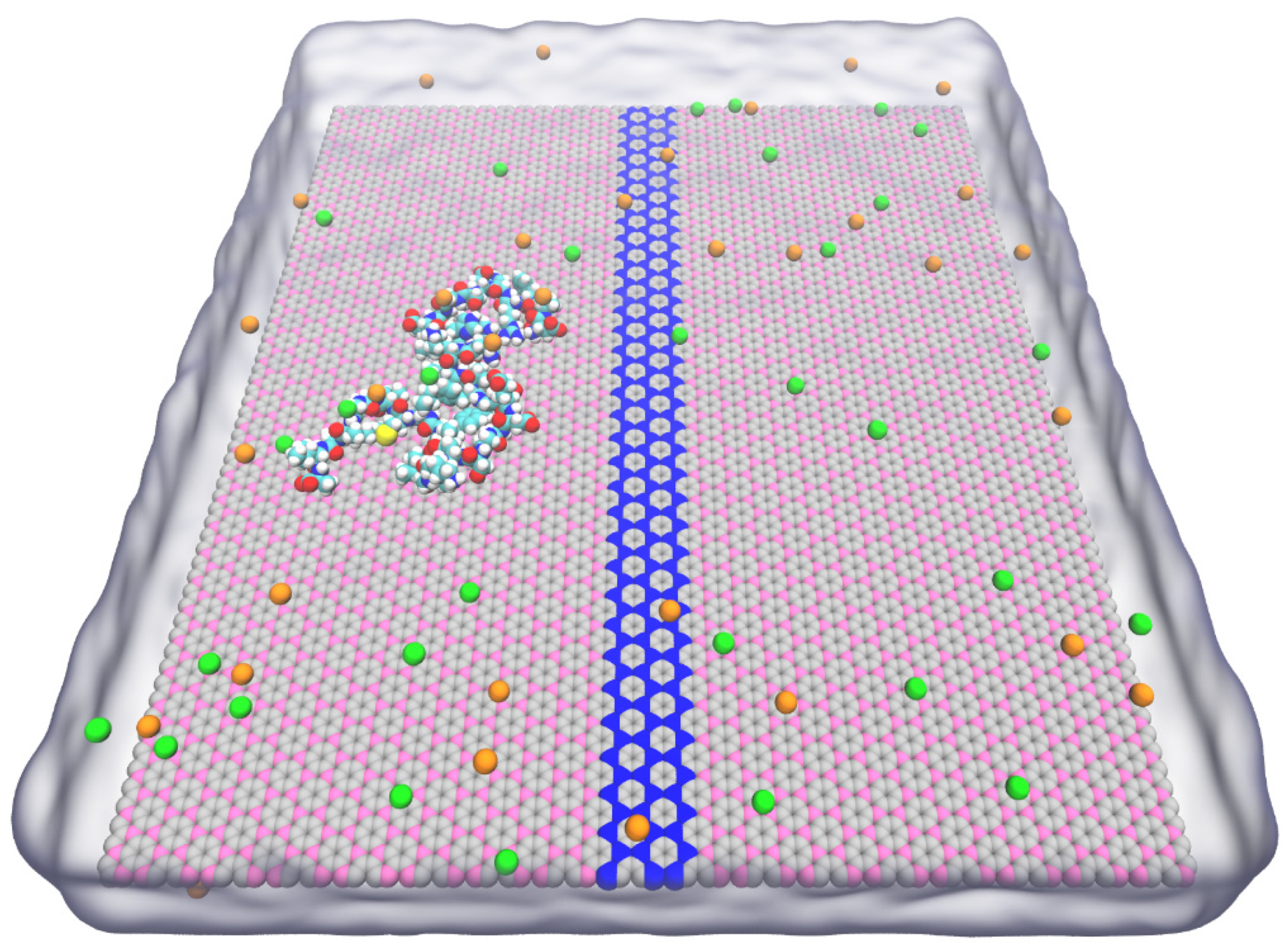 Biomolecules 11 01756 g001