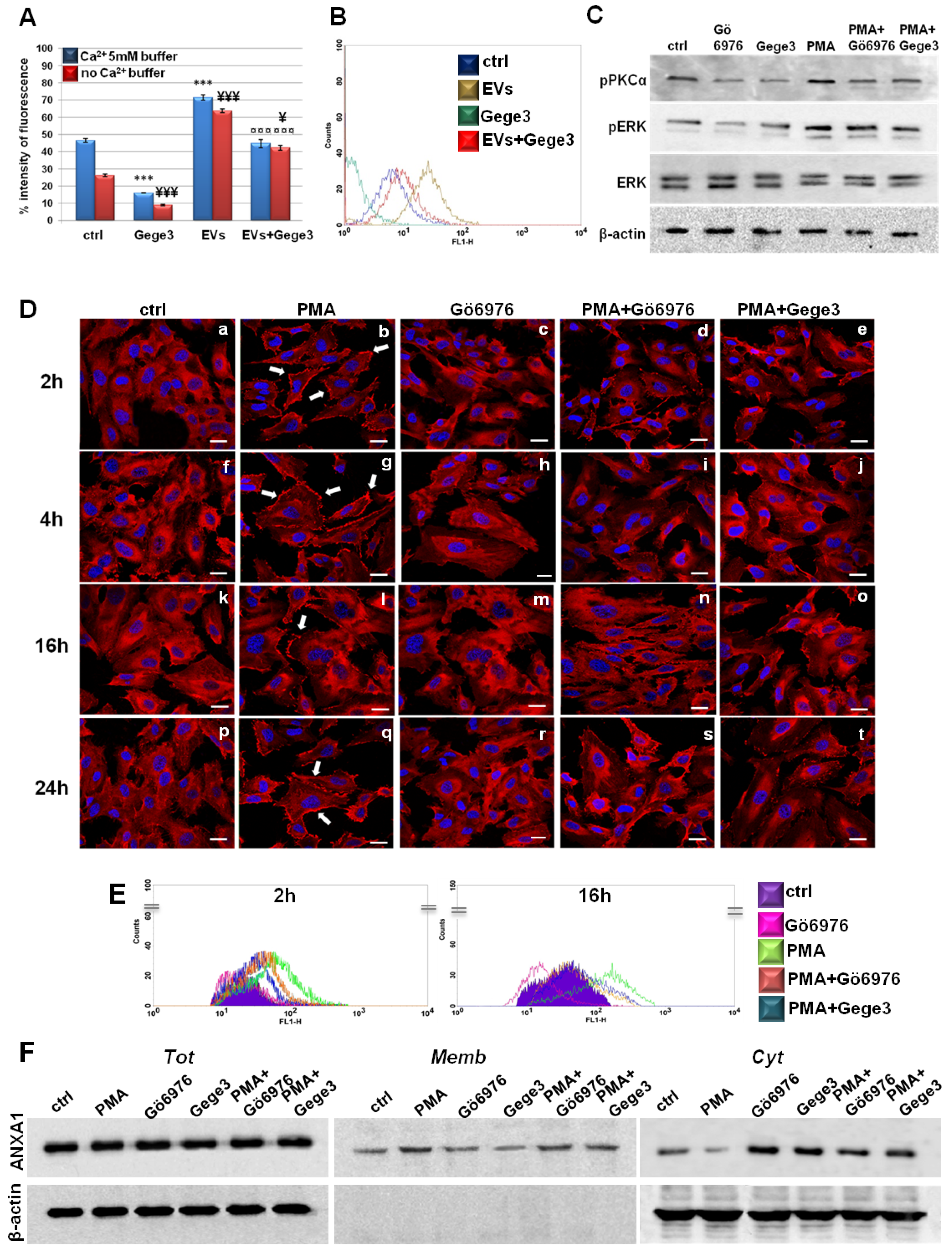 Biomolecules 11 01758 g005