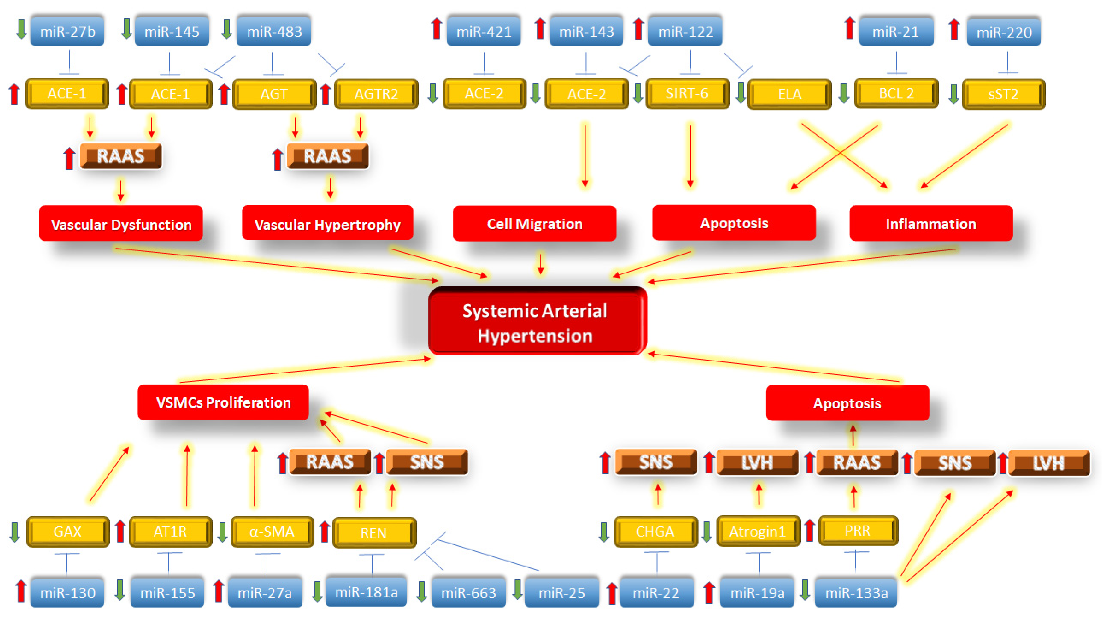 Biomolecules 11 01771 g001
