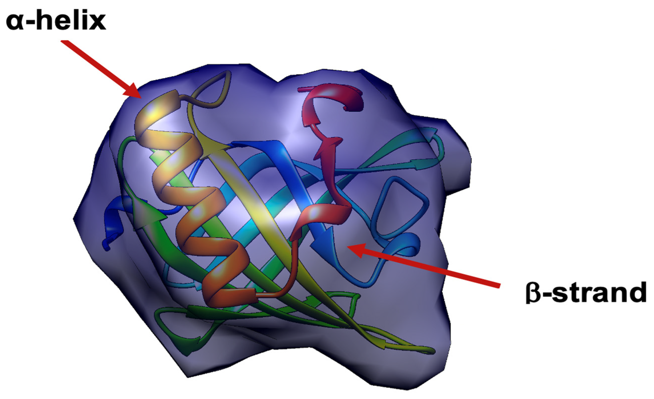 Biomolecules 11 01773 g002 Biomolecules 11 01773 g002