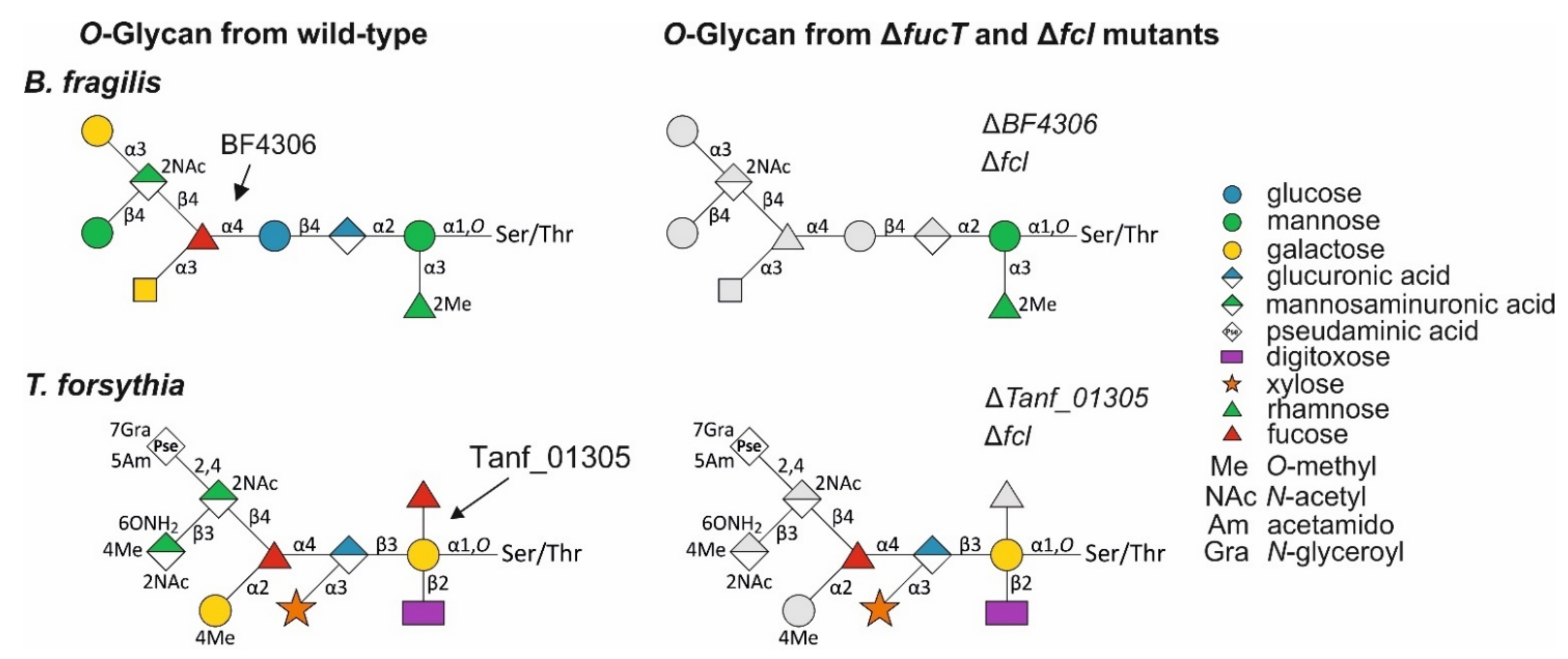 Biomolecules 11 01795 g008