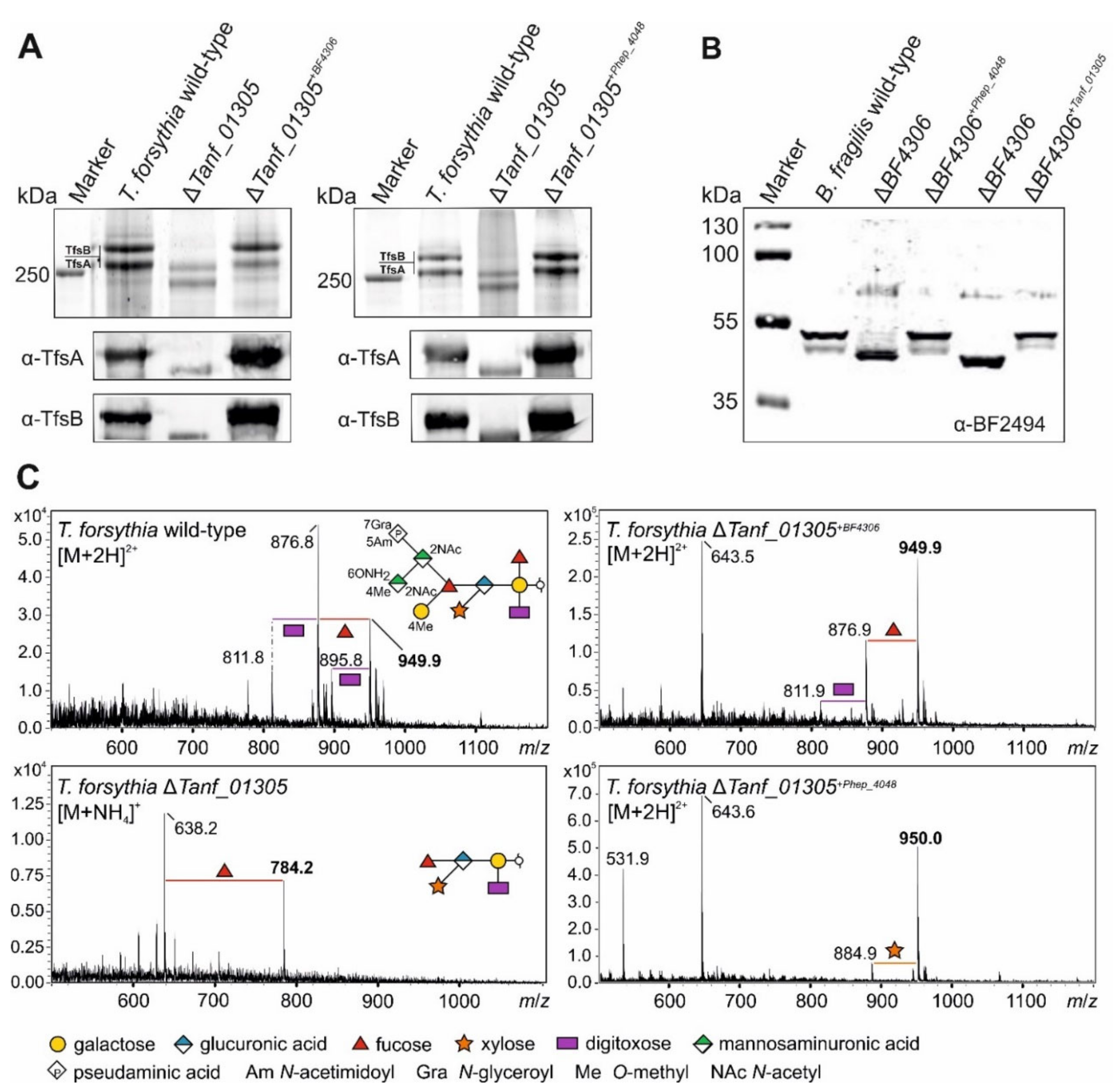 Biomolecules 11 01795 g009