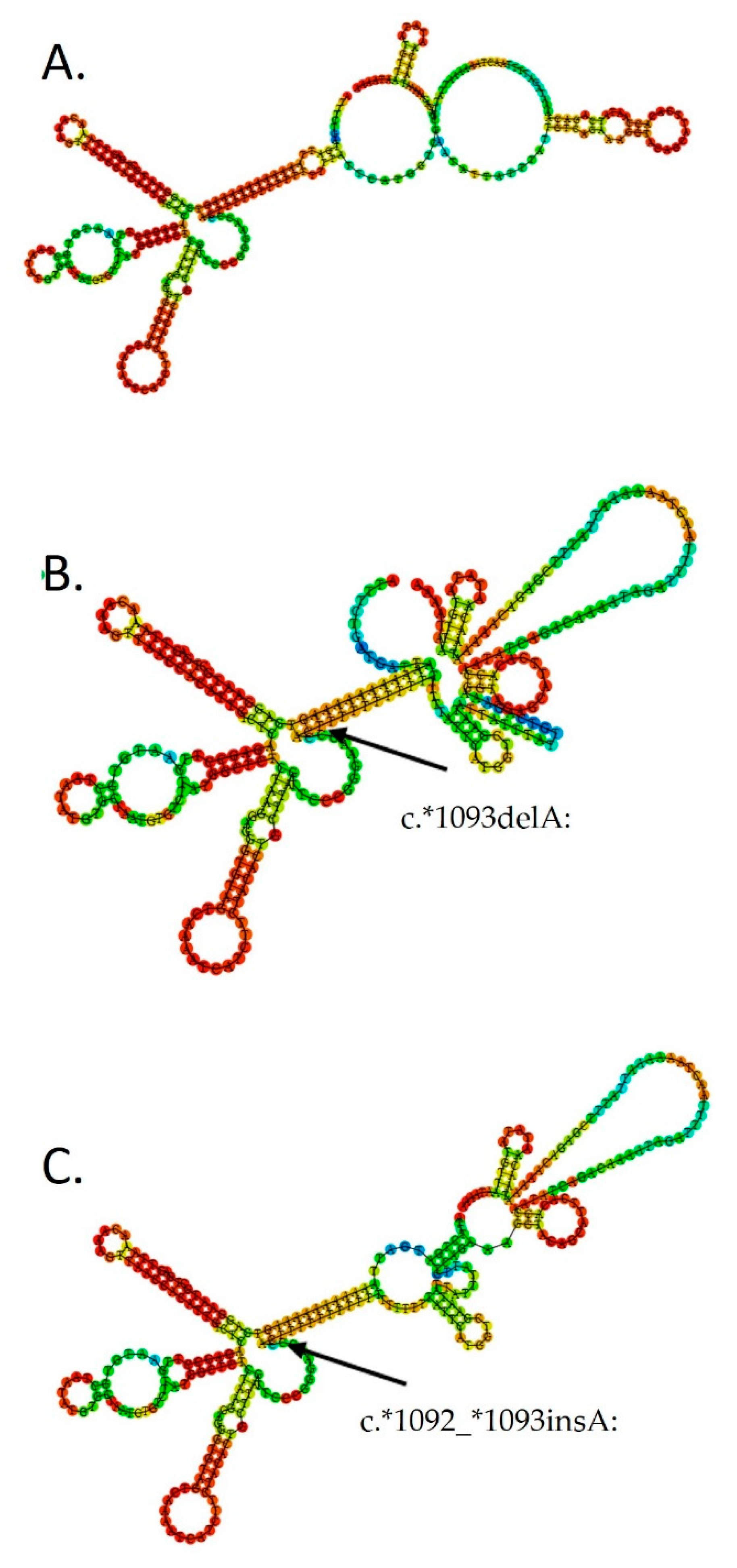 Biomolecules 11 01799 g001 Biomolecules 11 01799 g001