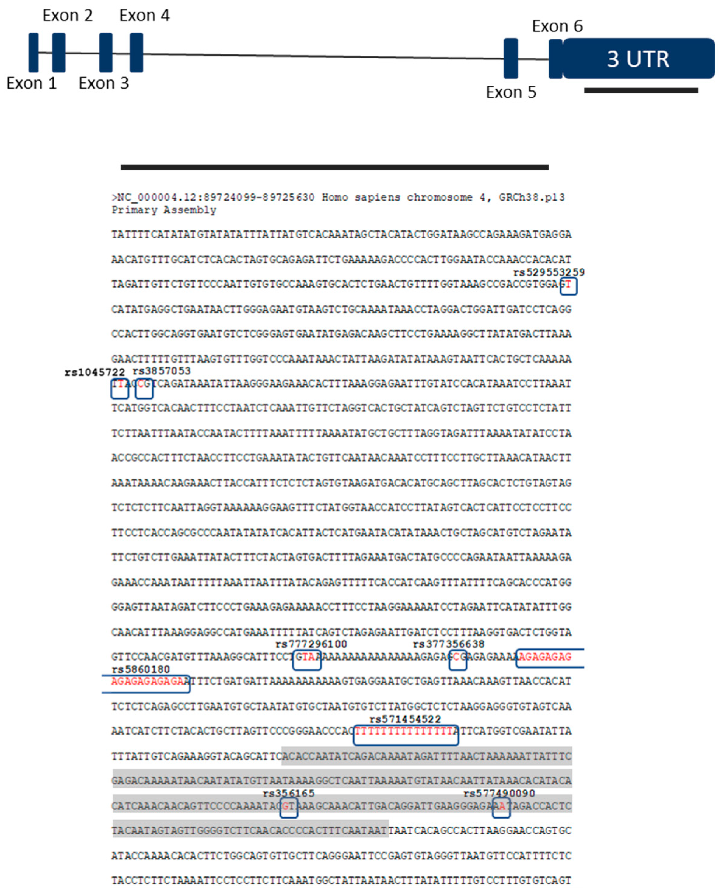 Biomolecules 11 01799 g004 Biomolecules 11 01799 g004