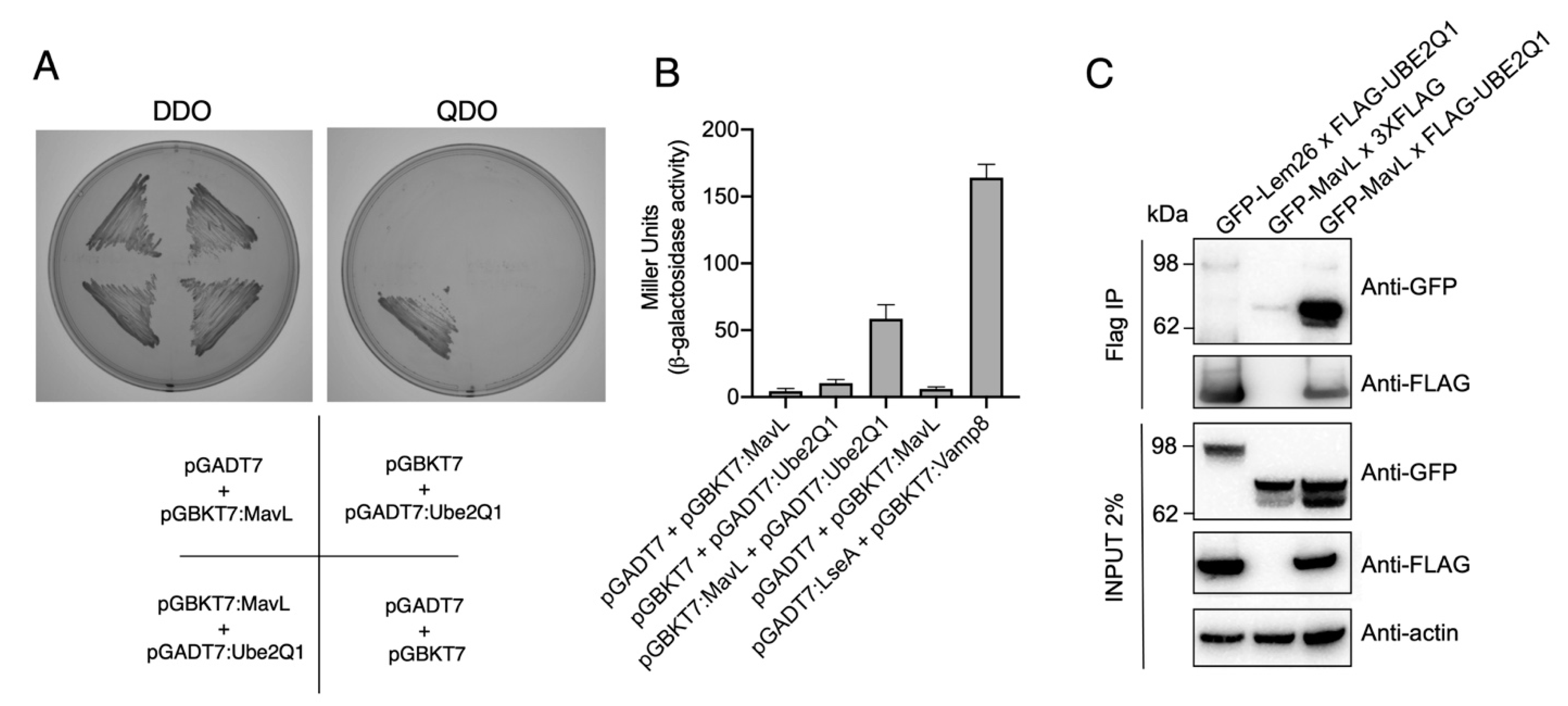 Biomolecules 11 01802 g002