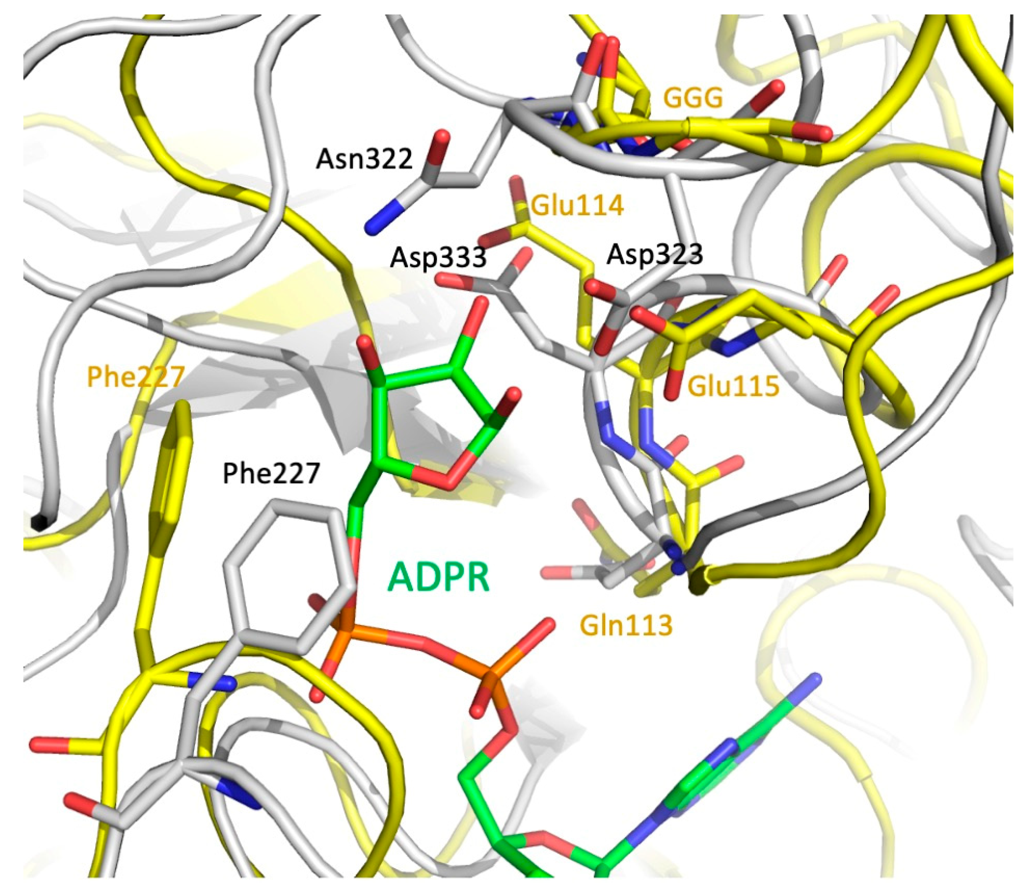 Biomolecules 11 01802 g006