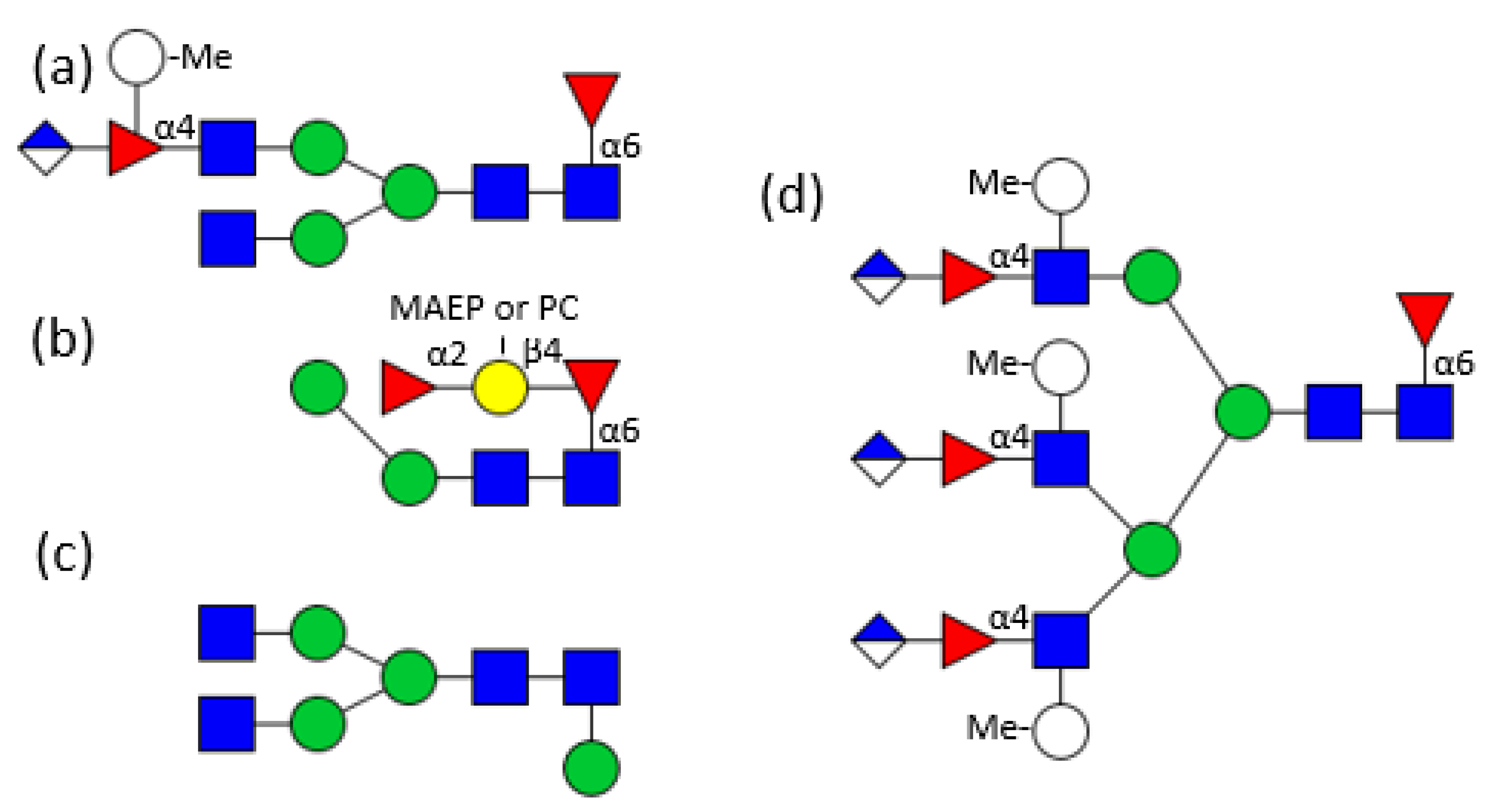 Biomolecules 11 01820 g004 Biomolecules 11 01820 g004