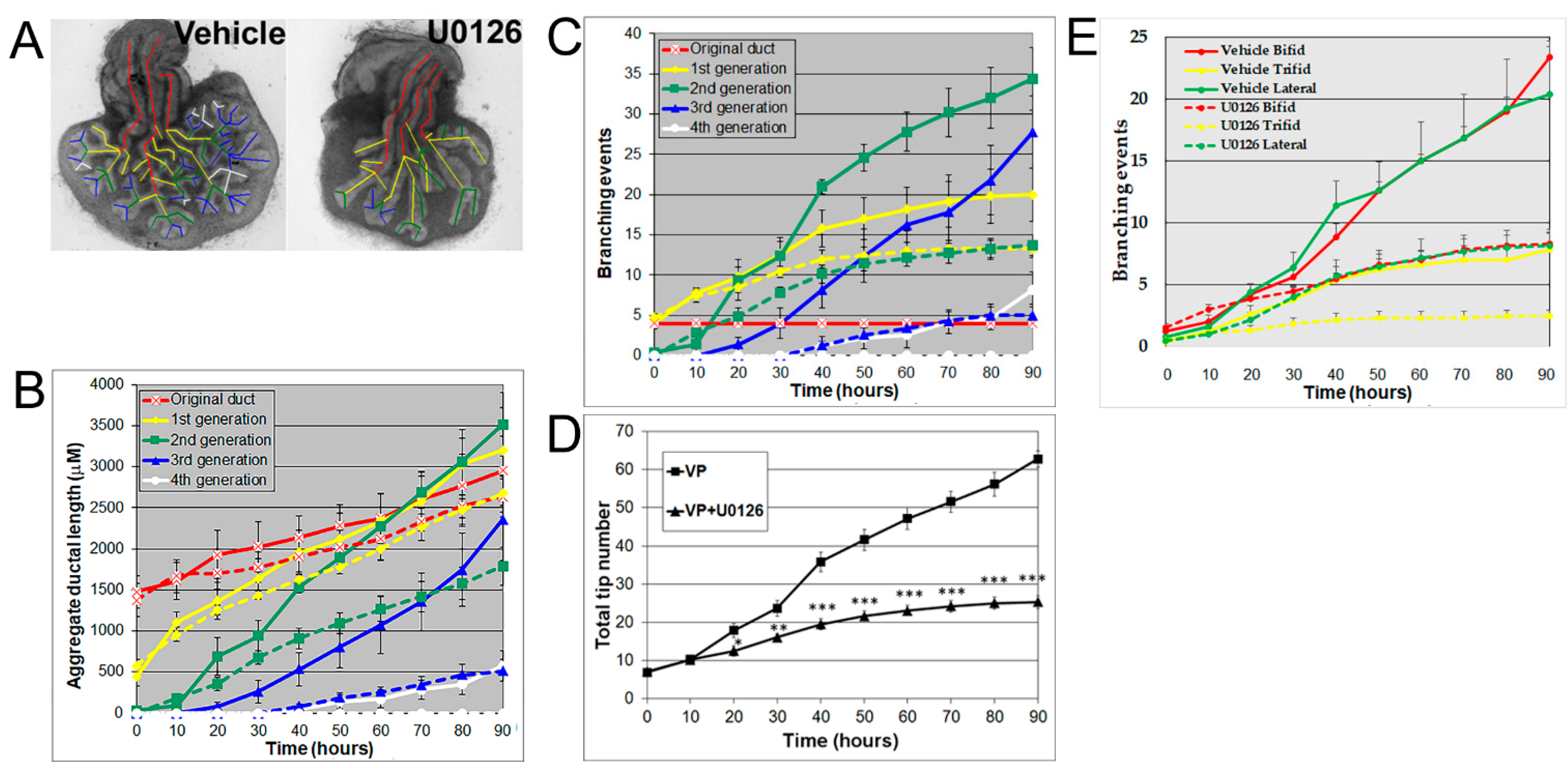 Biomolecules 11 01829 g003 Biomolecules 11 01829 g003