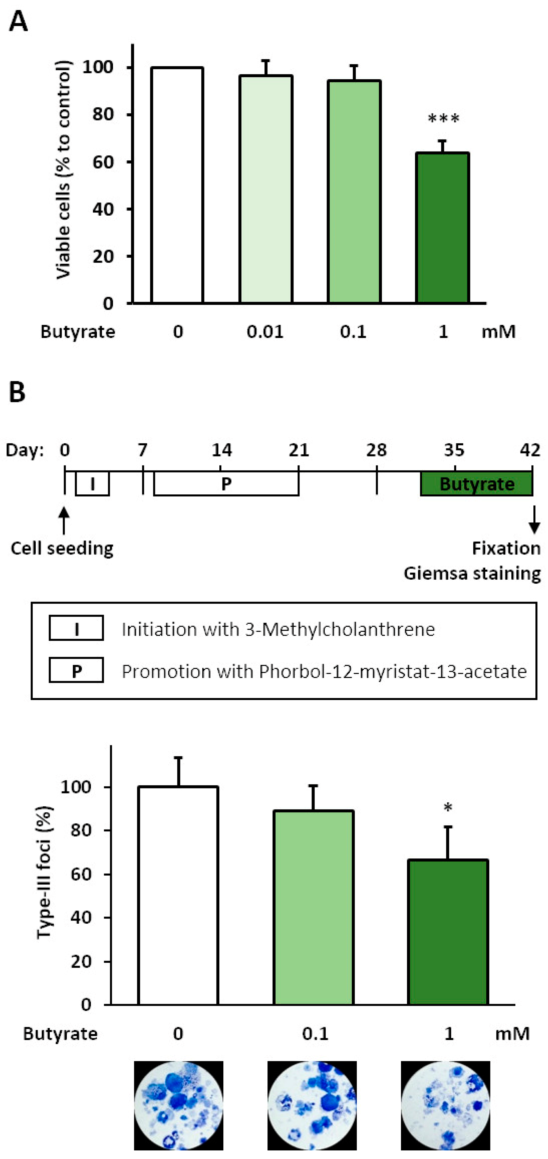 Biomolecules 11 01831 g001