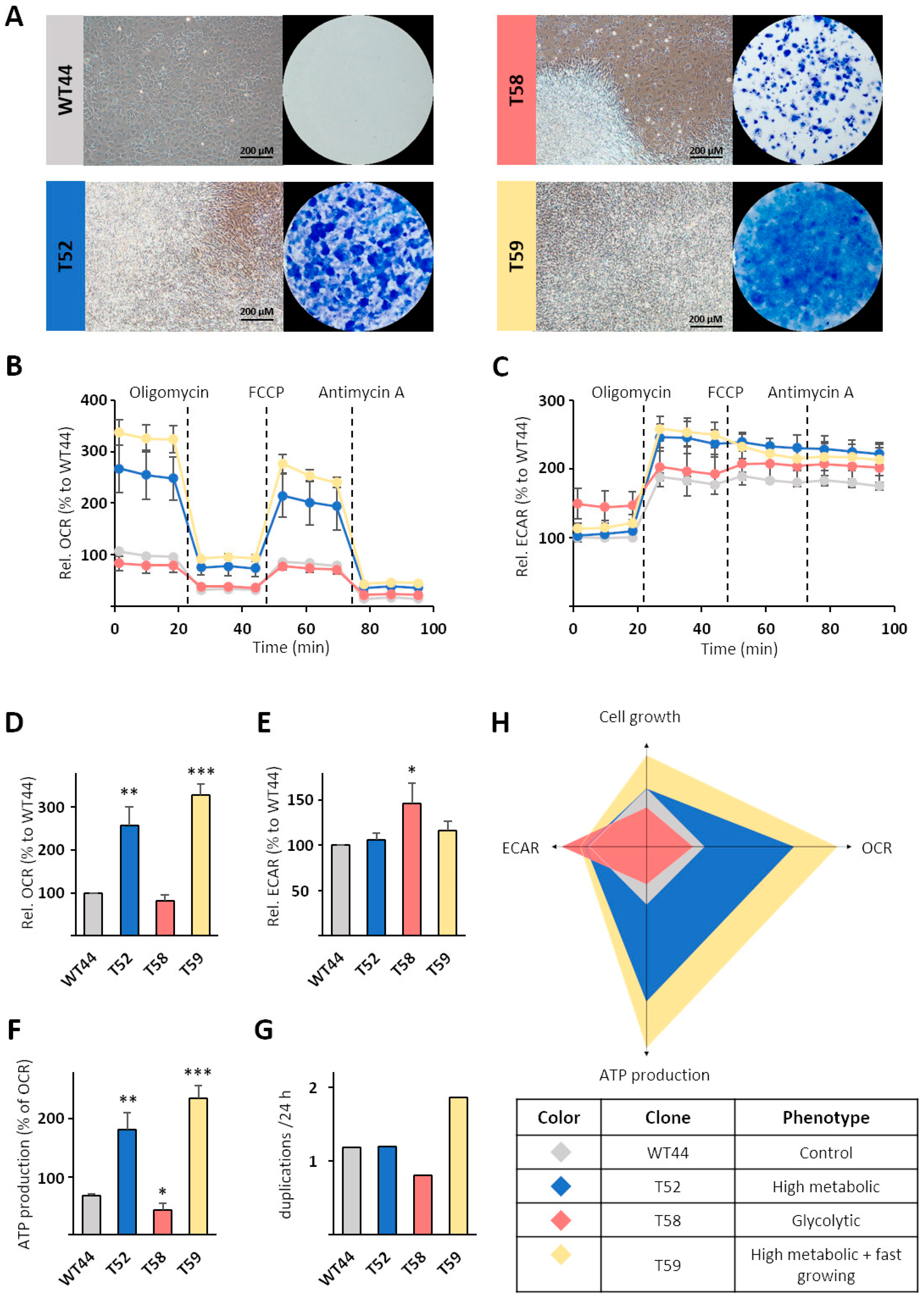 Biomolecules 11 01831 g003