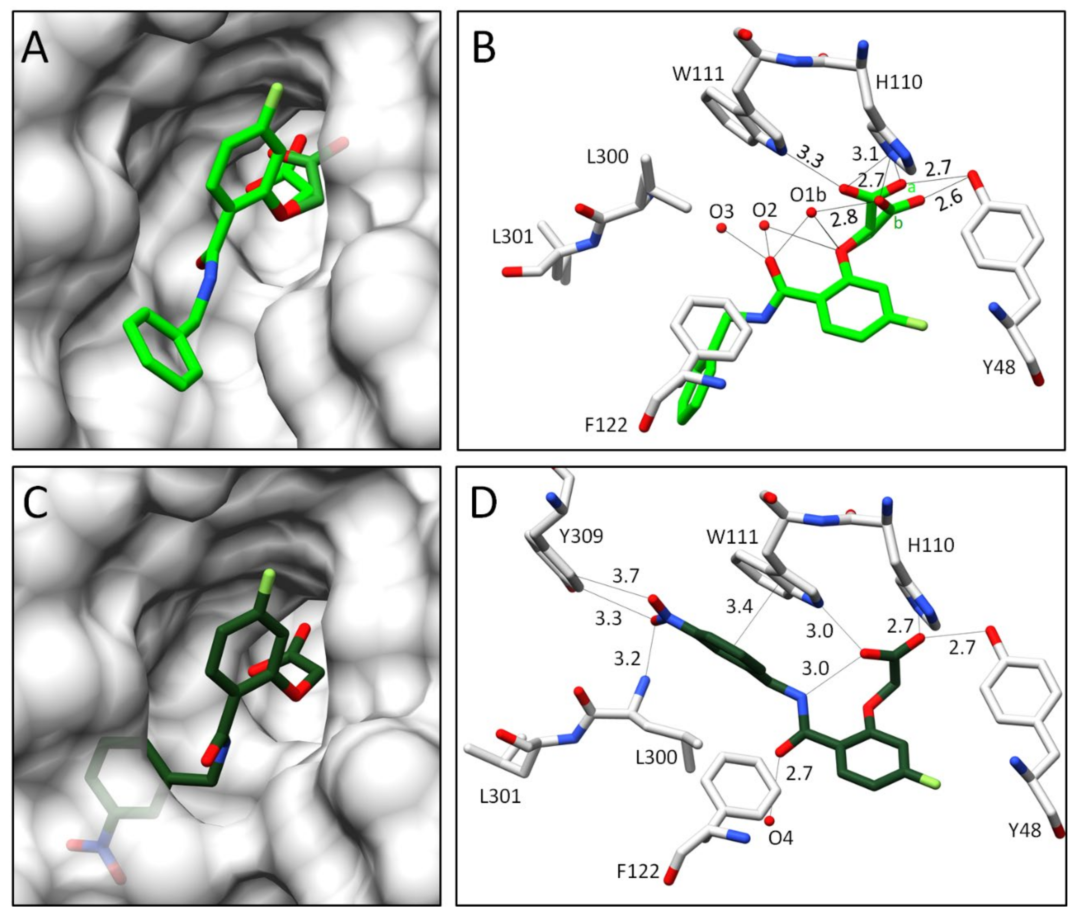 Biomolecules 11 01837 g004