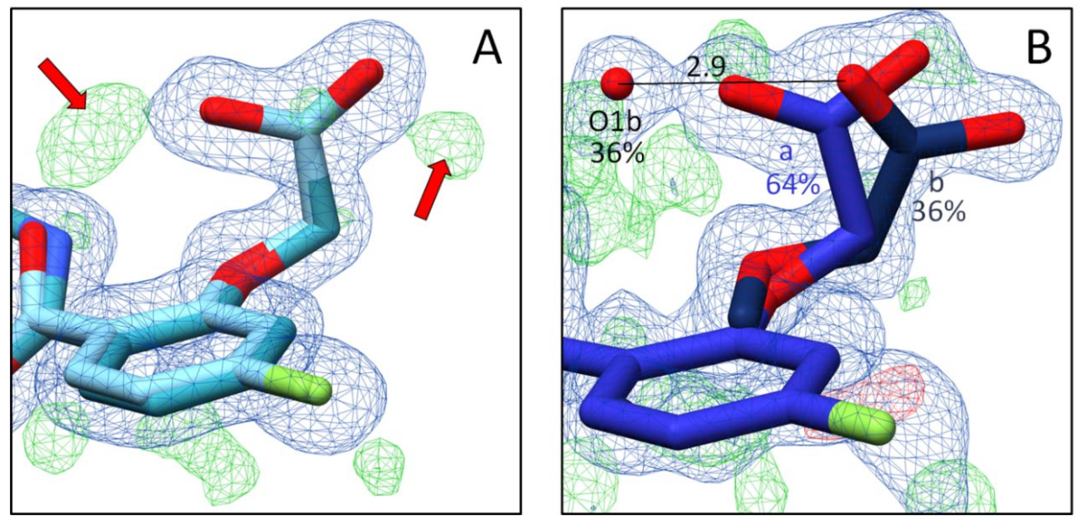 Biomolecules 11 01837 g007