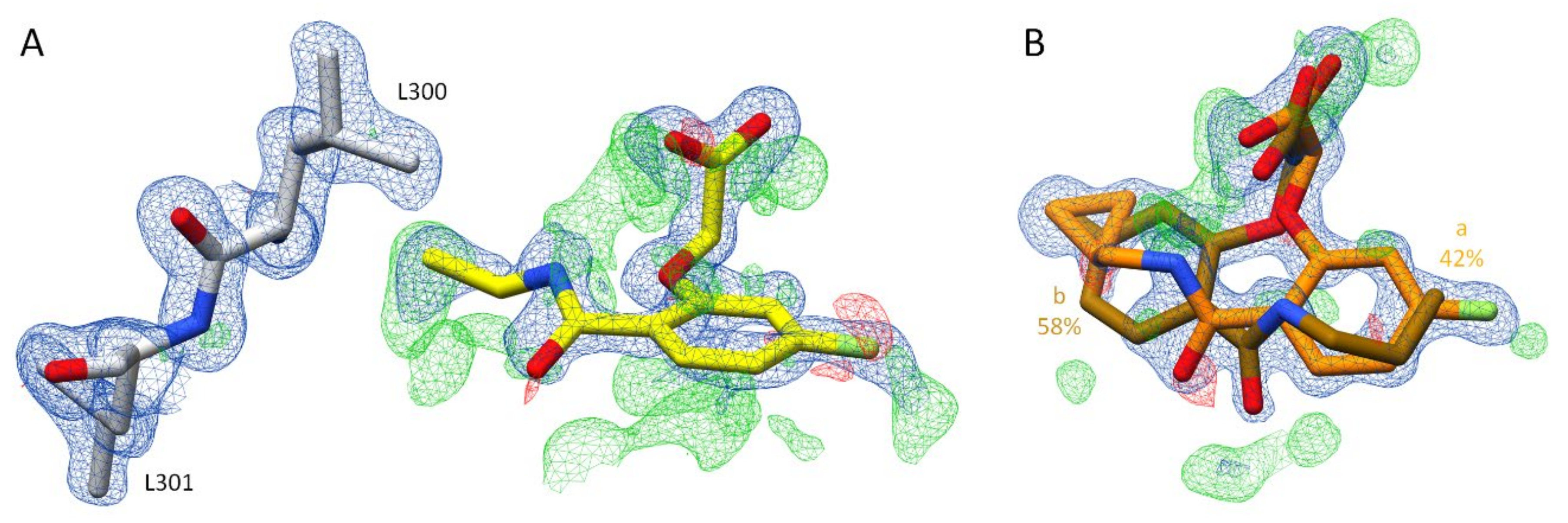 Biomolecules 11 01837 g009