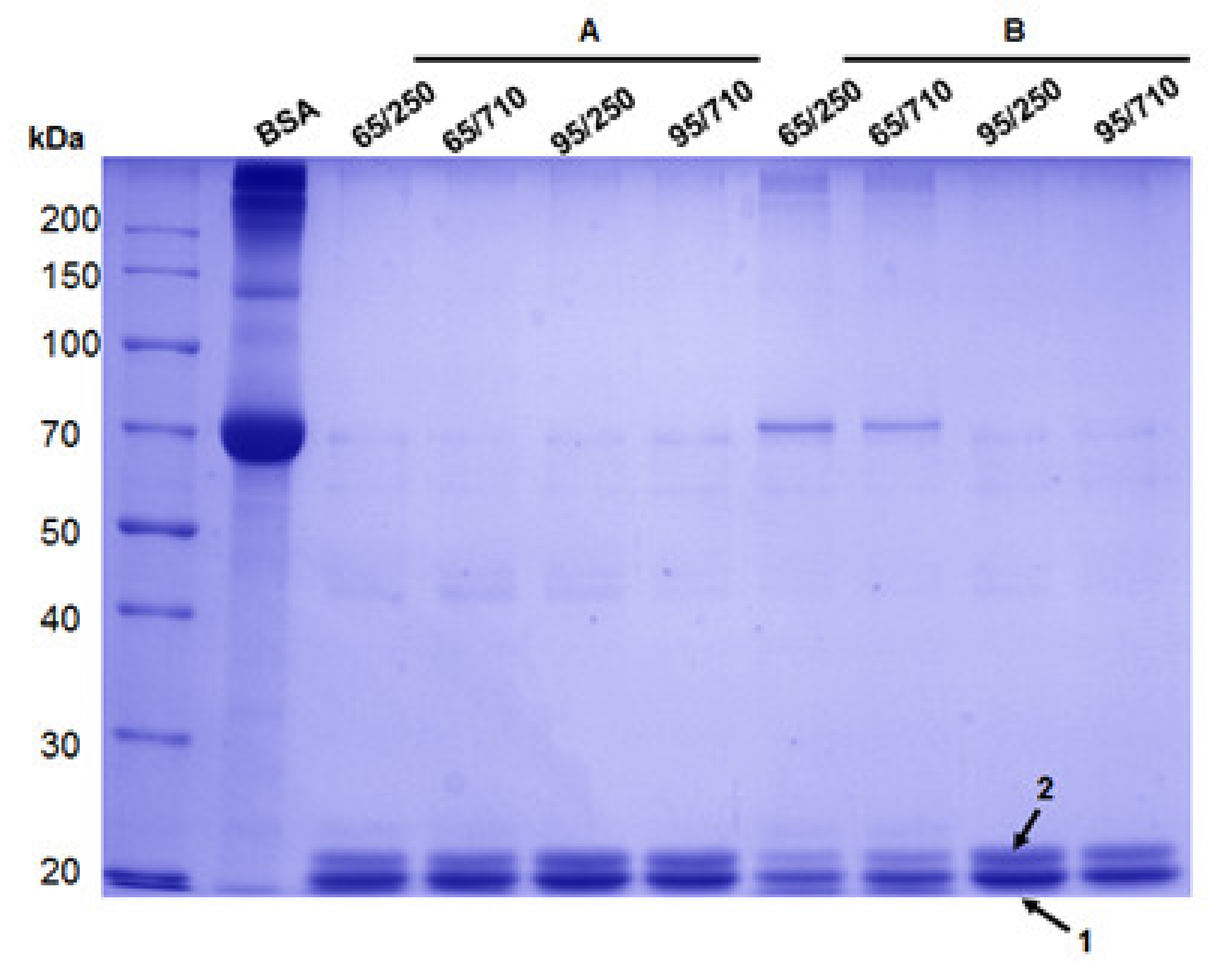 Biomolecules 11 01838 g001 Biomolecules 11 01838 g001