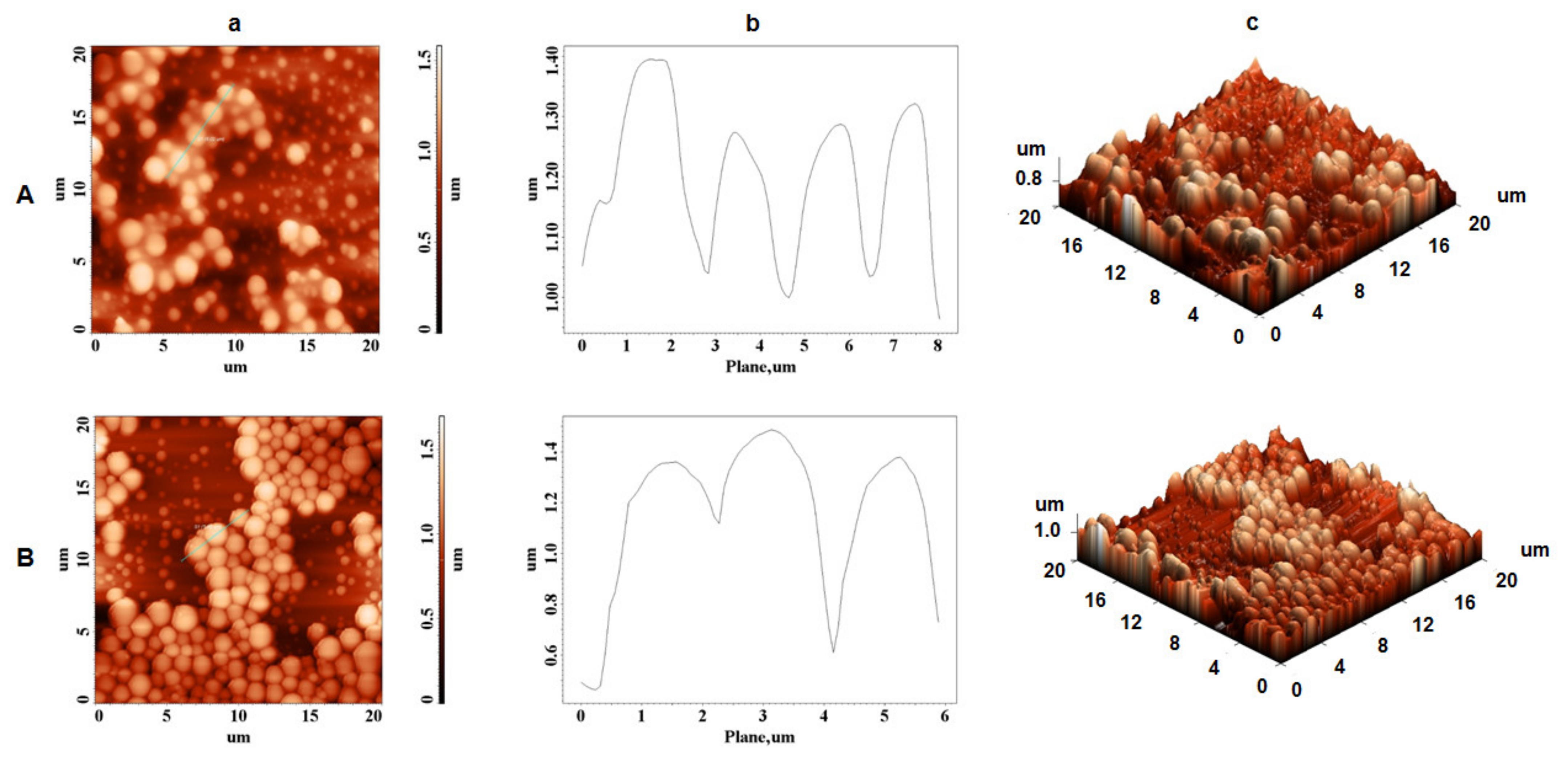 Biomolecules 11 01838 g004 Biomolecules 11 01838 g004