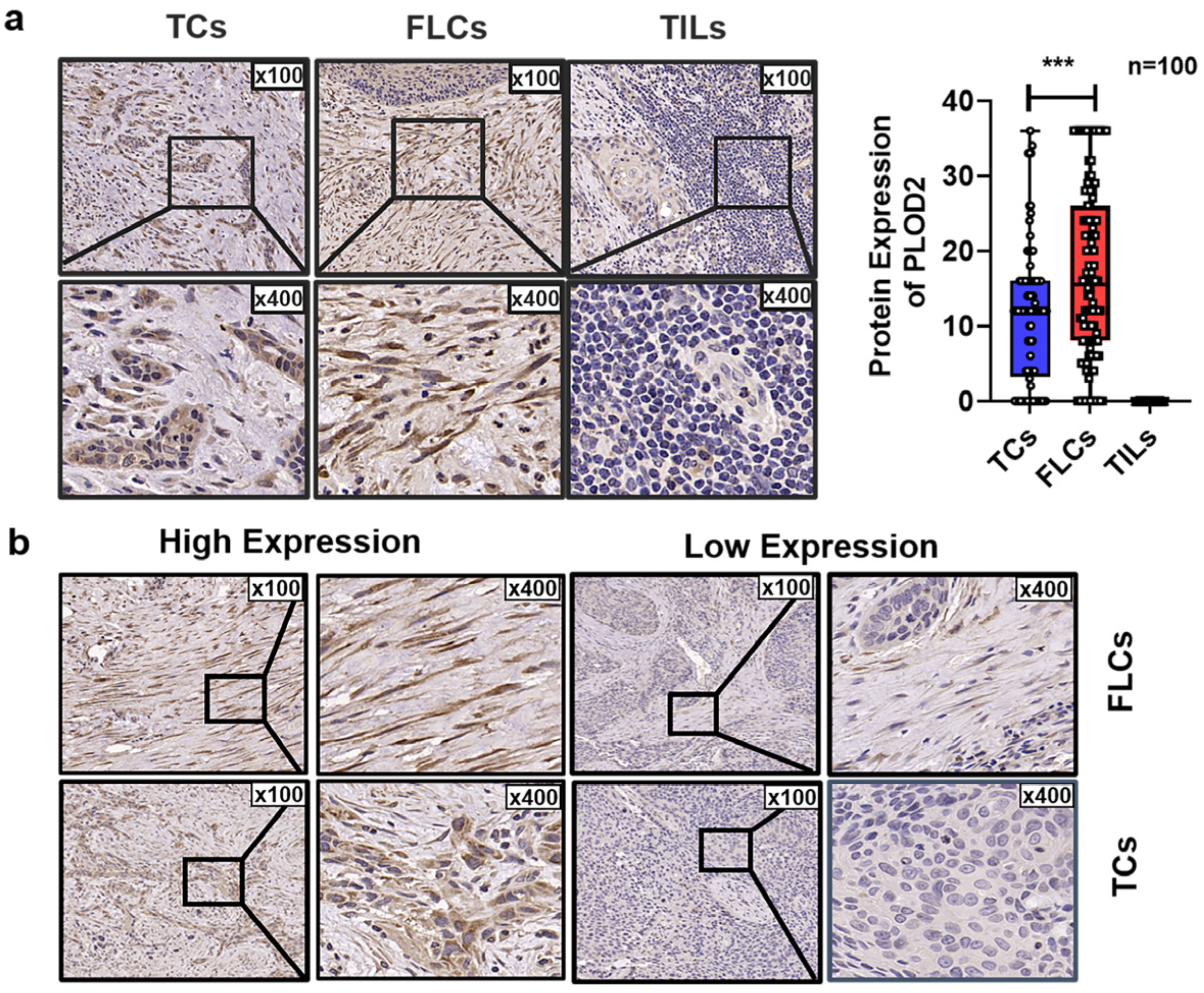 Biomolecules 11 01842 g003