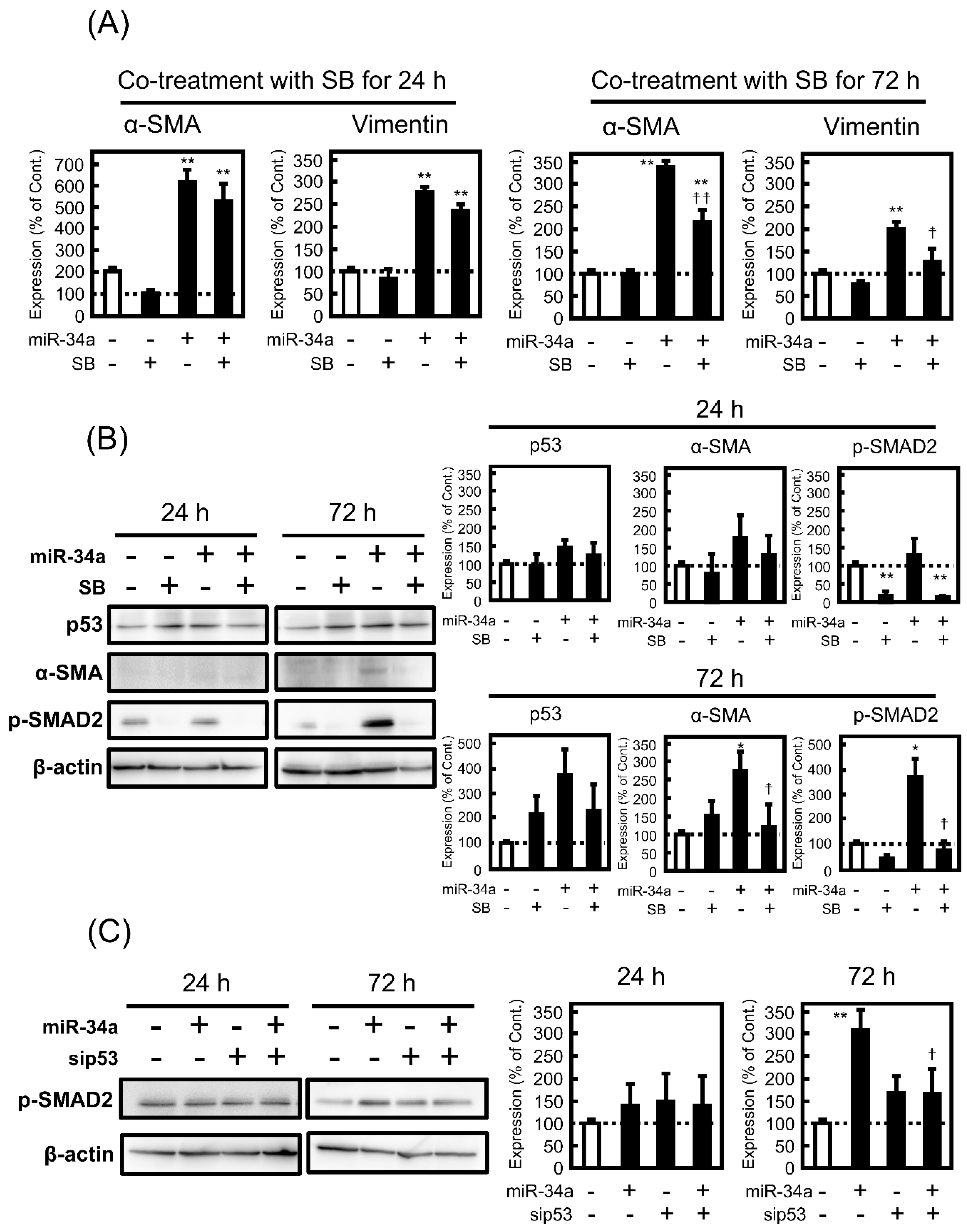 Biomolecules 11 01853 g006