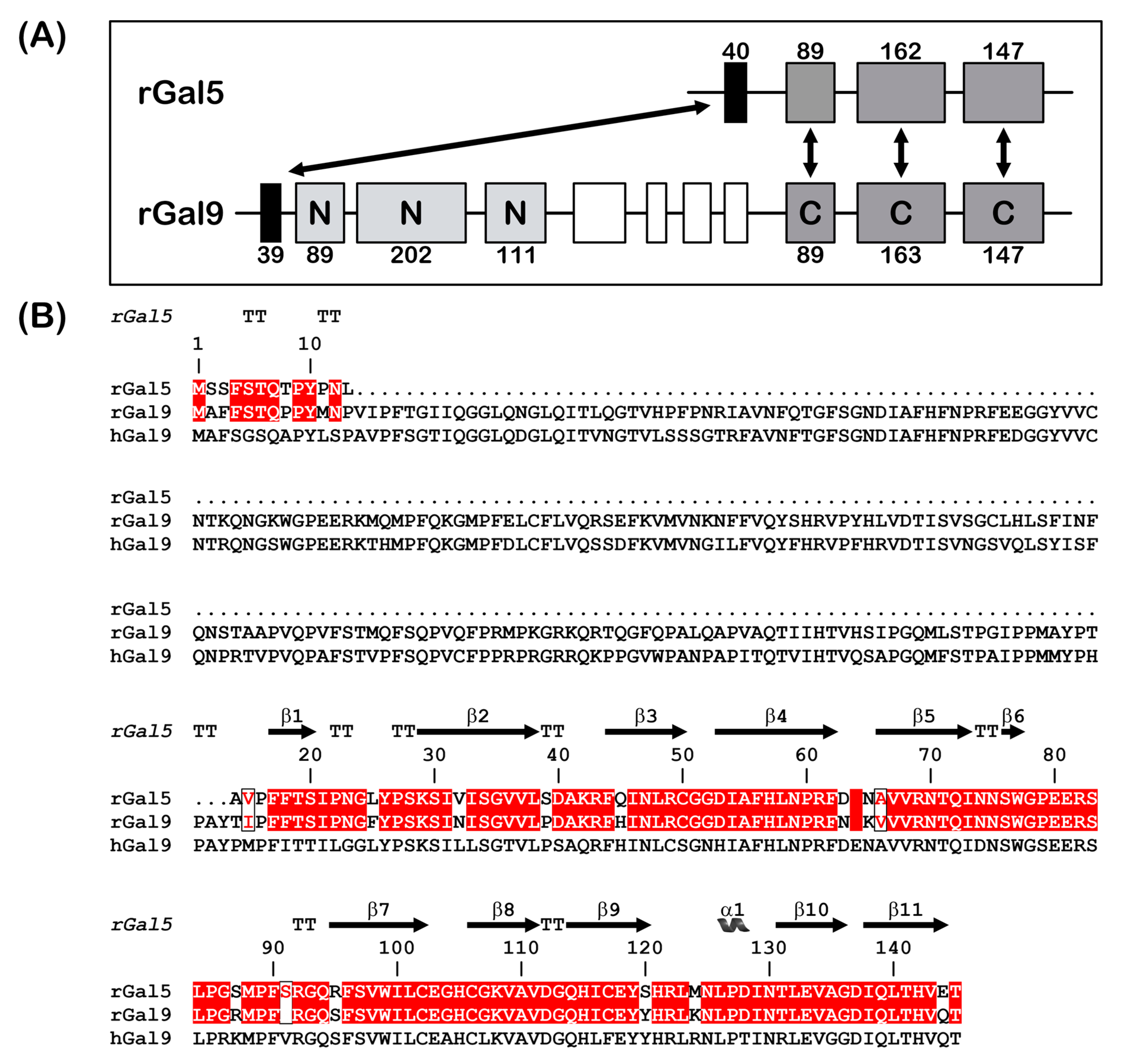 Biomolecules 11 01854 g001