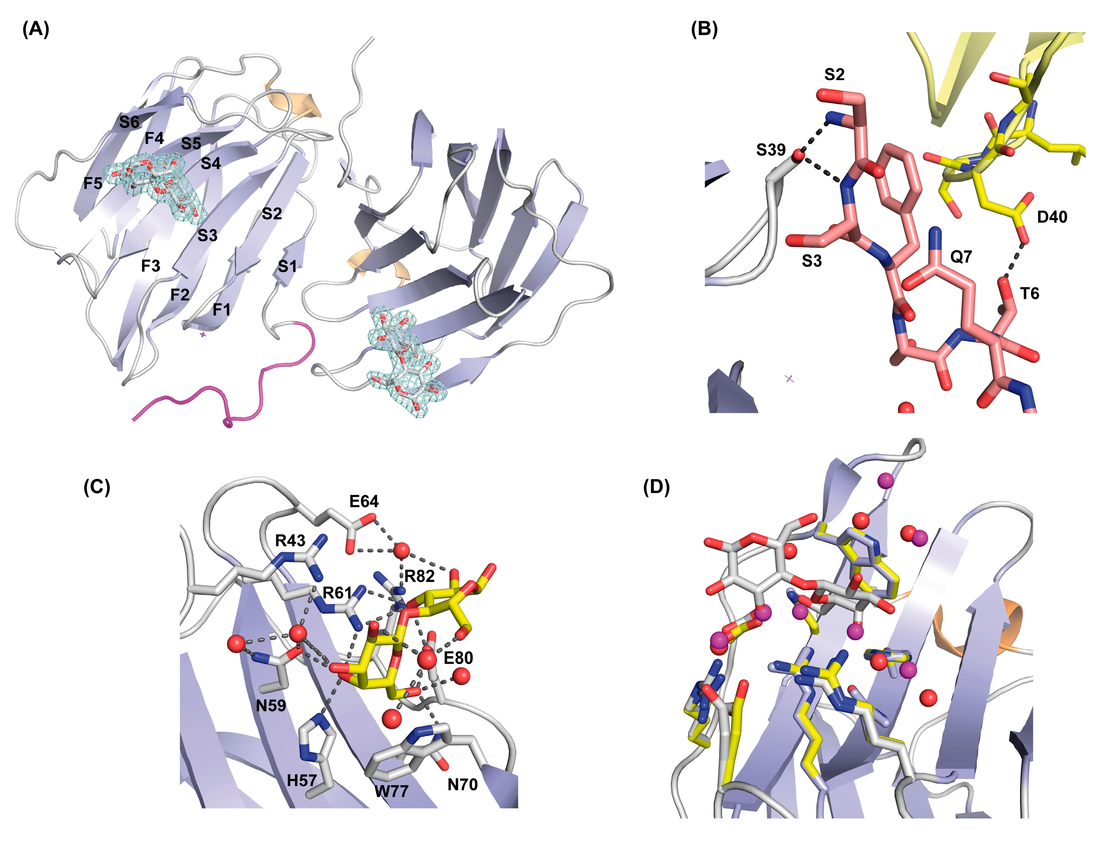 Biomolecules 11 01854 g004