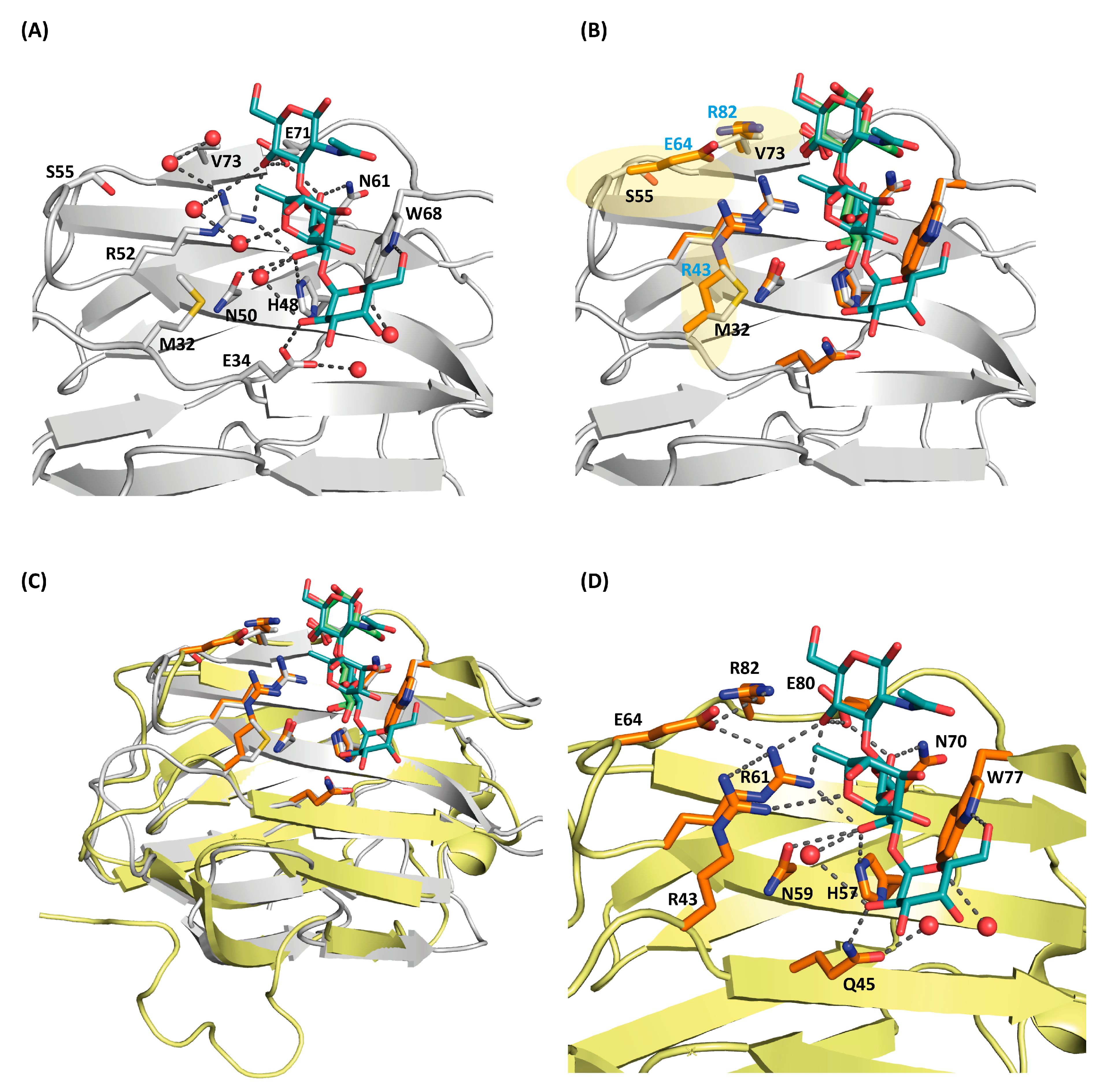 Biomolecules 11 01854 g005