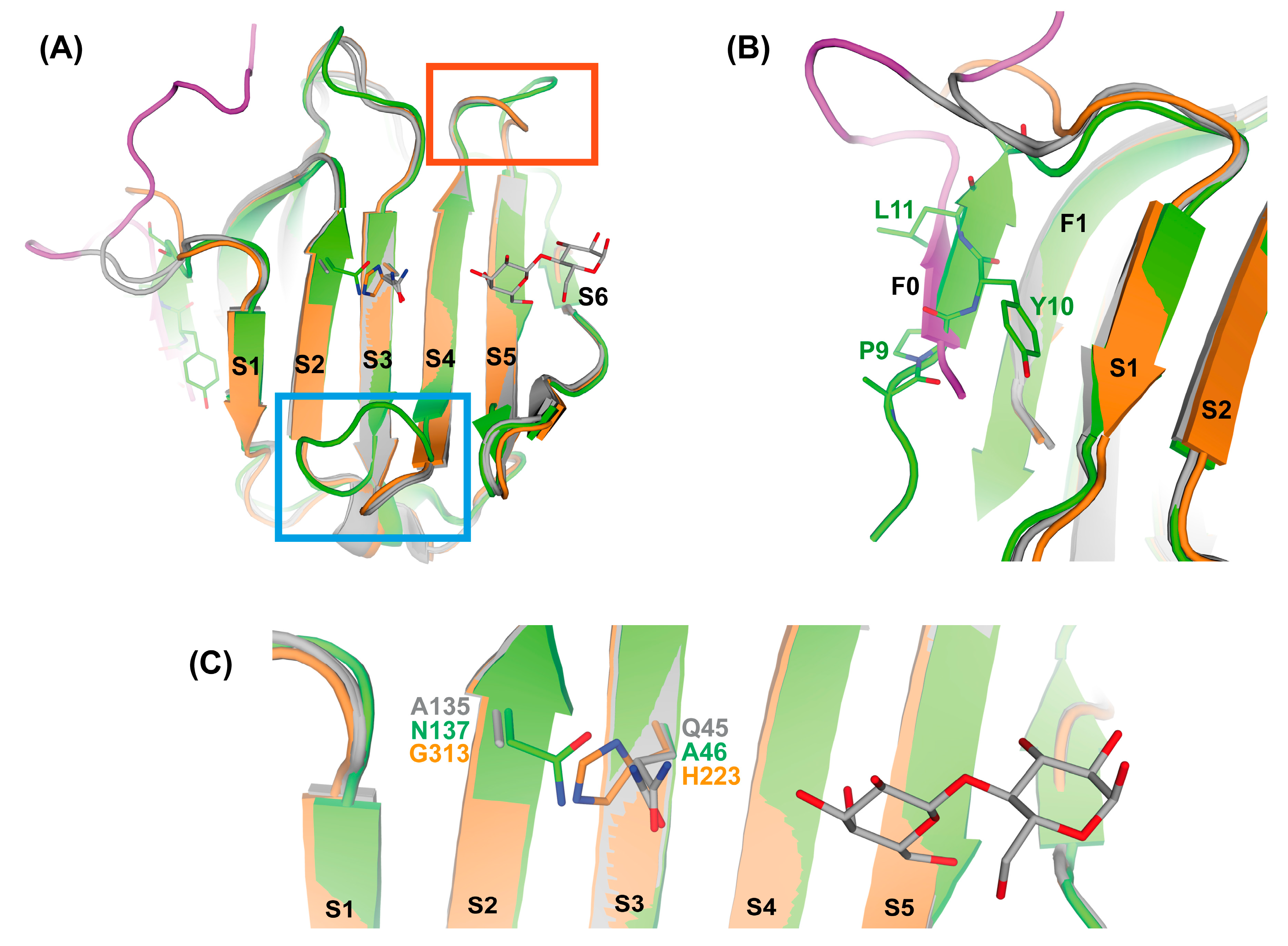 Biomolecules 11 01854 g007