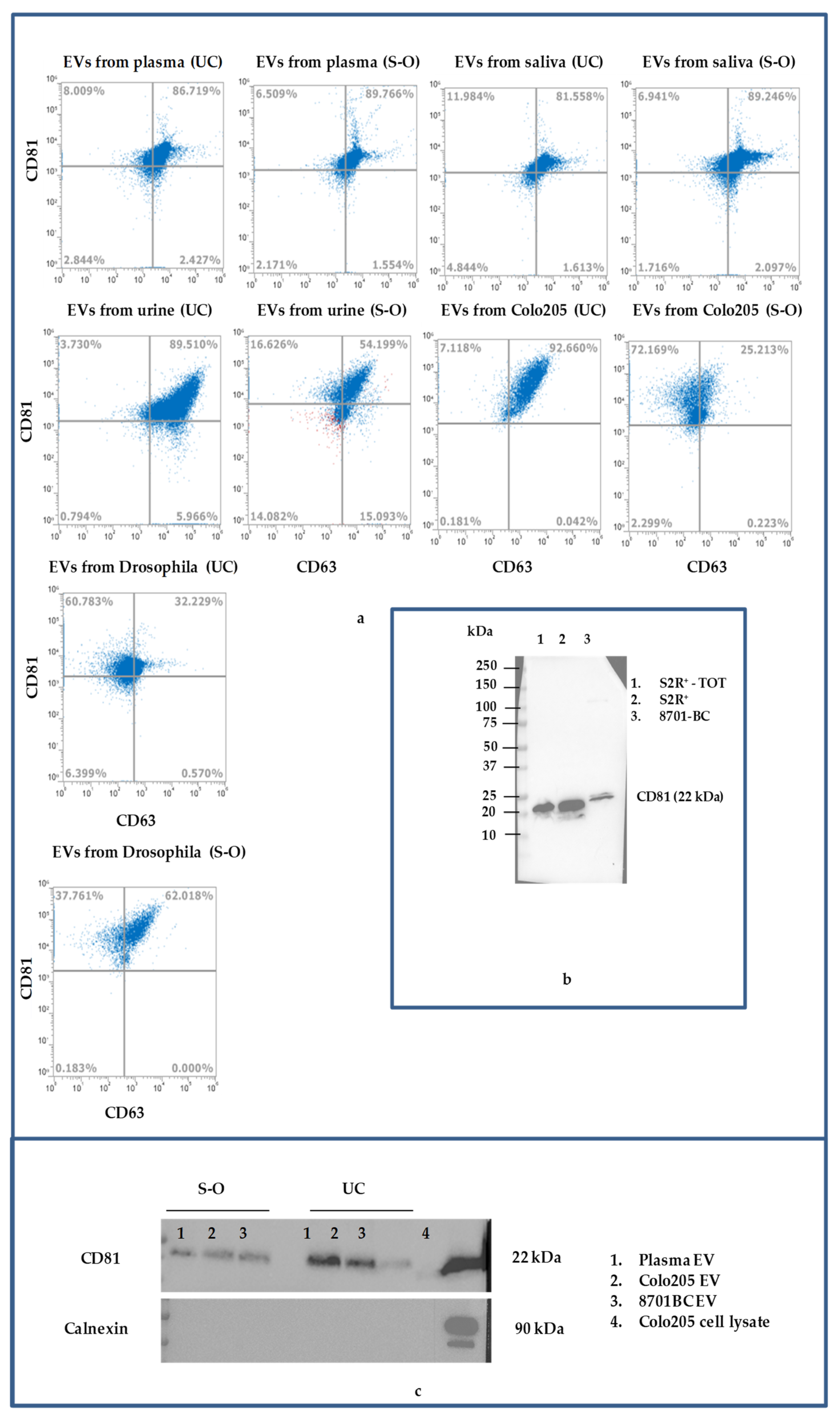 Biomolecules 11 01857 g003