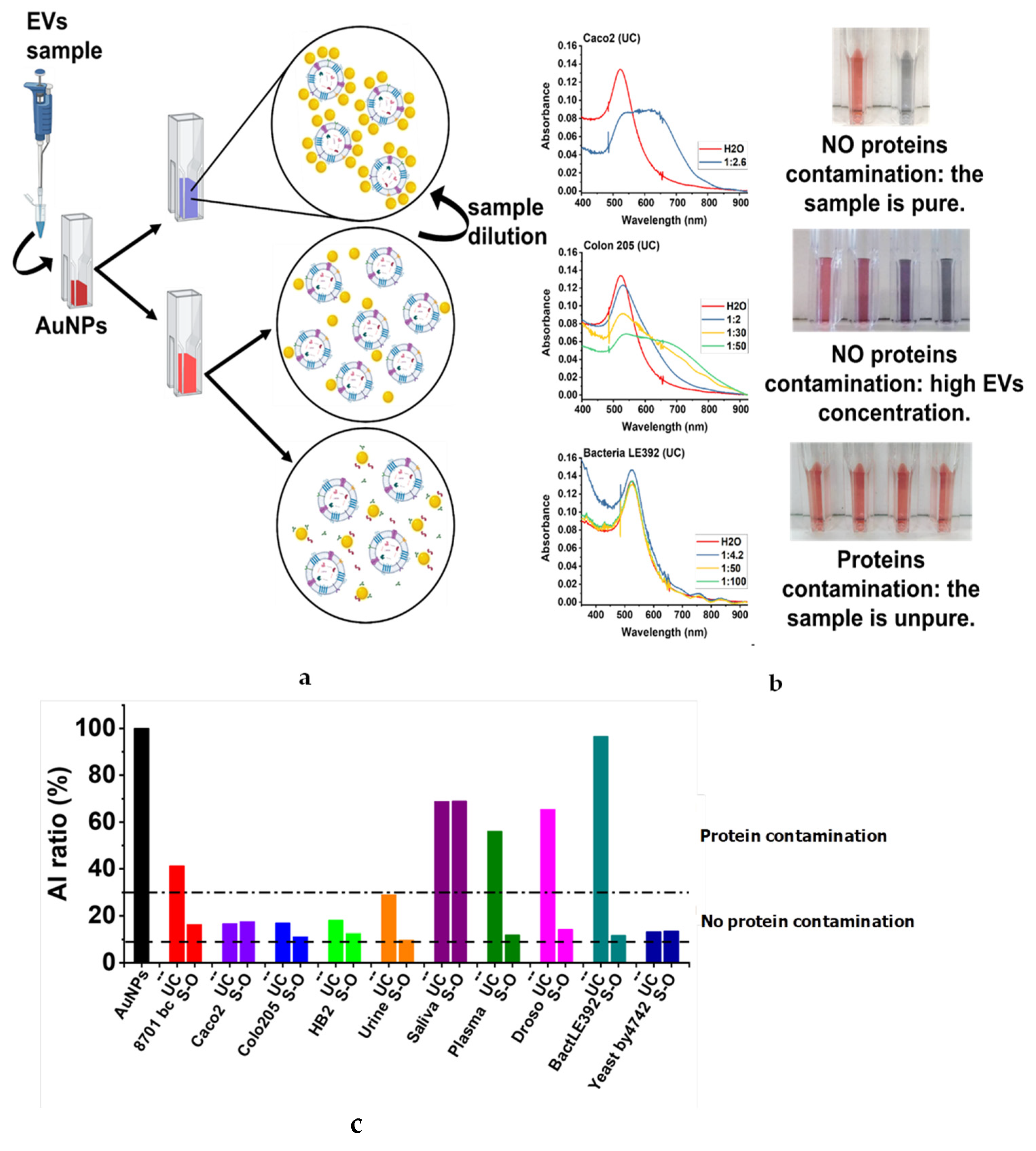 Biomolecules 11 01857 g004