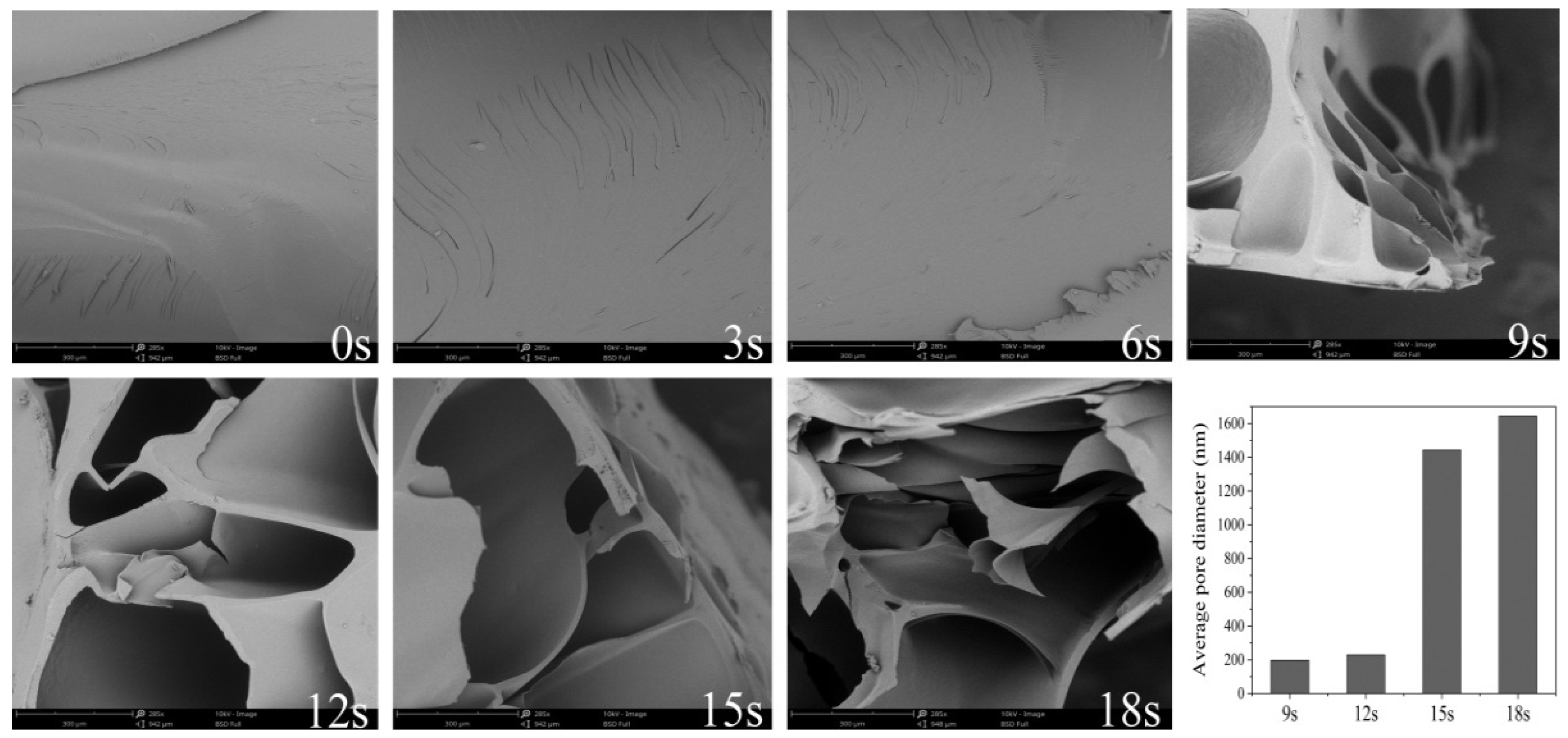 Biomolecules 11 01872 g001