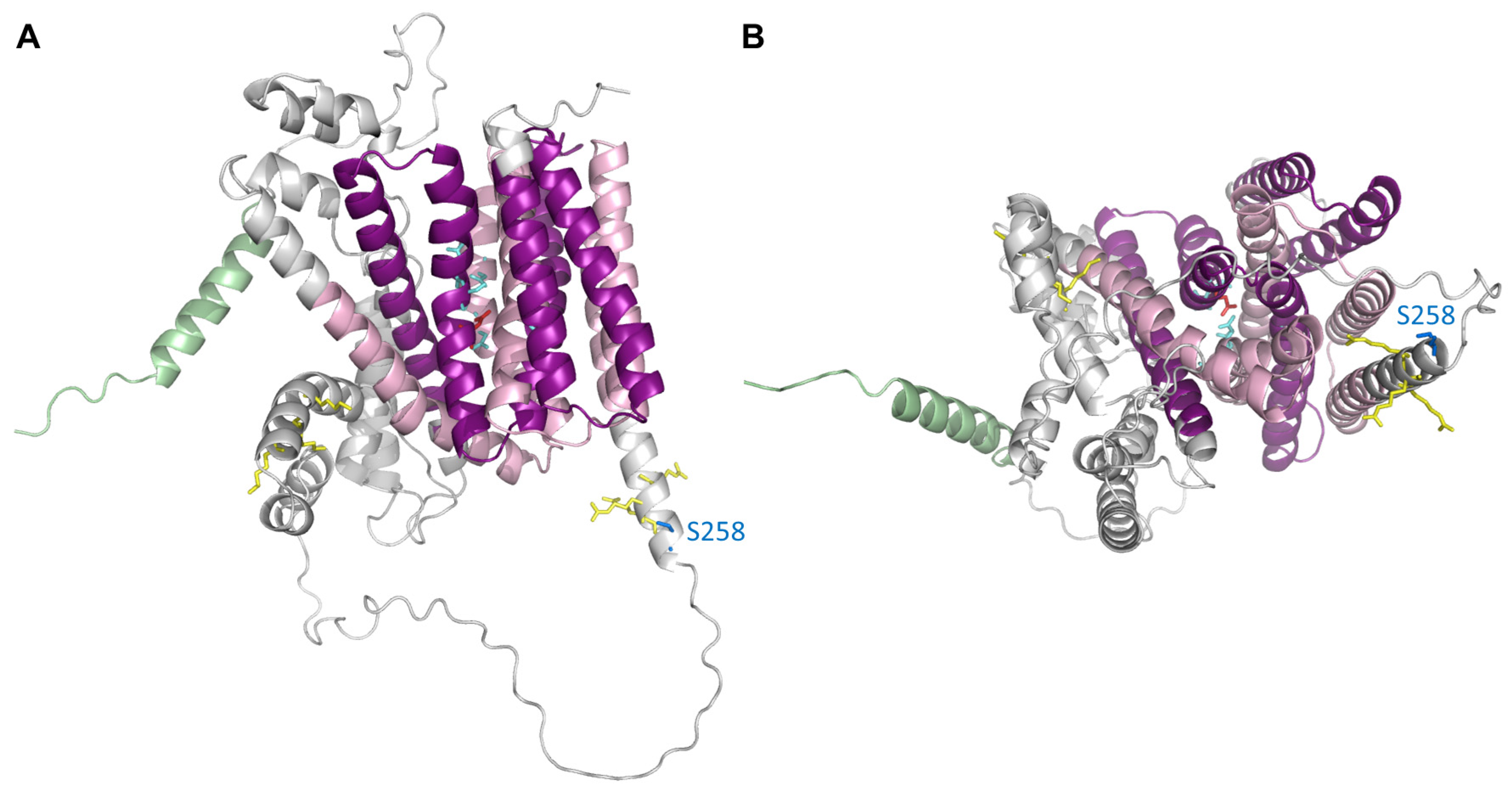 Biomolecules | Free Full-Text | Physiological and 