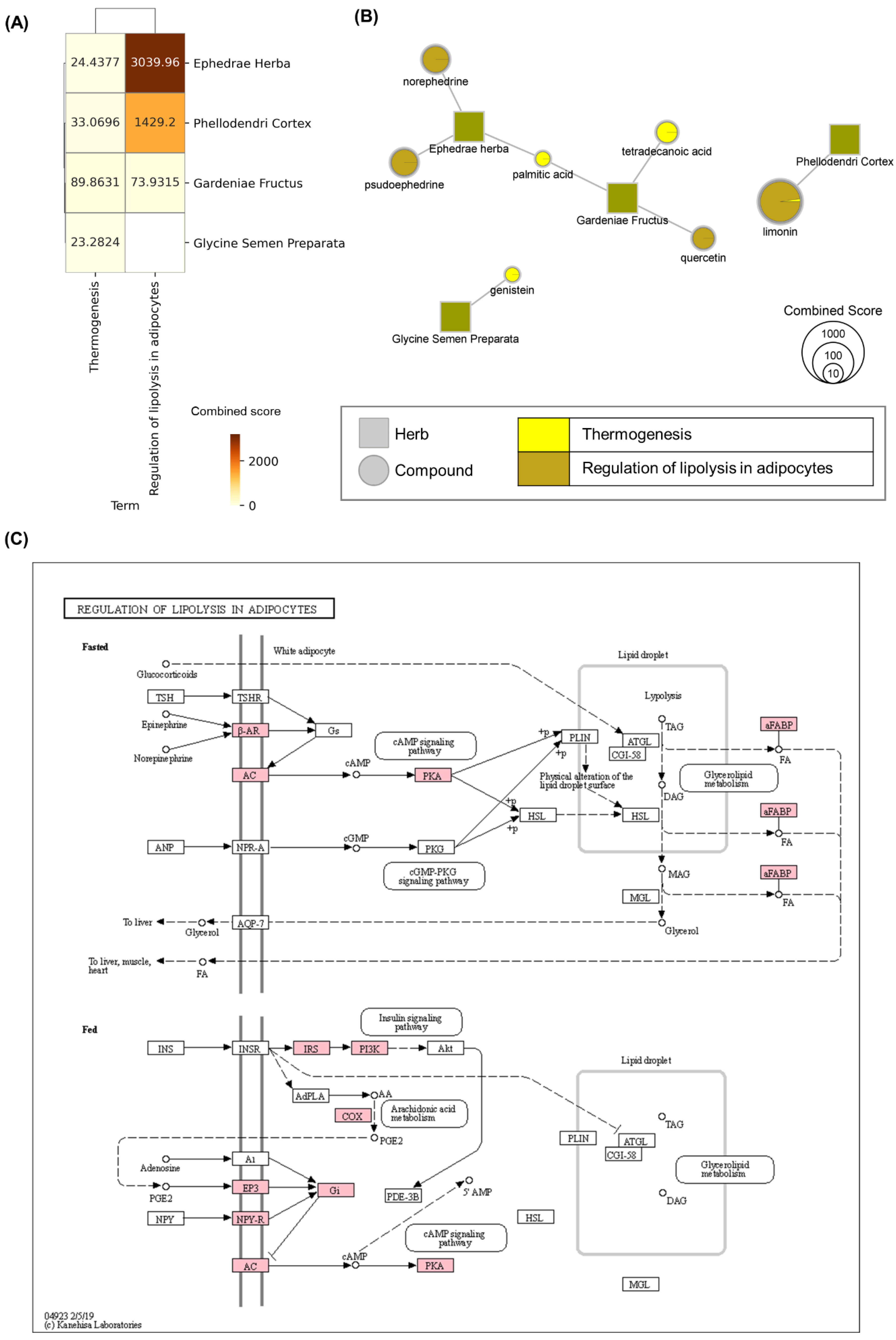 Biomolecules 11 01881 g002