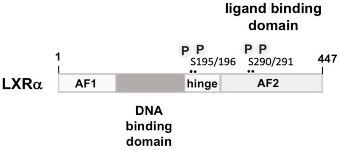 Biomolecules 11 01886 g006
